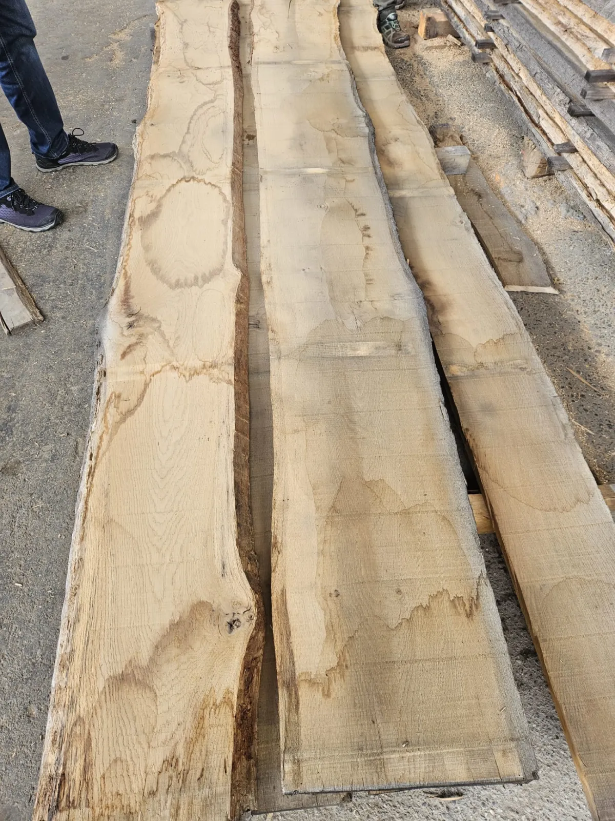 White oak AB grade
