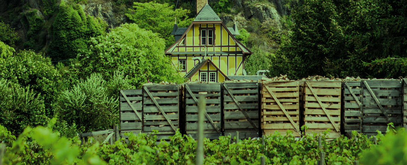 German Pavilion @ China Food & Drinks Fair (CFDF) 2026