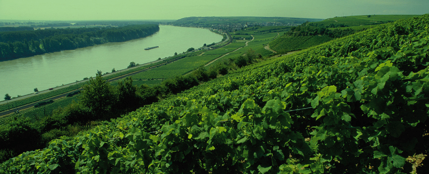 German Pavilion @ ProWine Singapore 2024 German Pavilion @ ProWine Singapore 2024