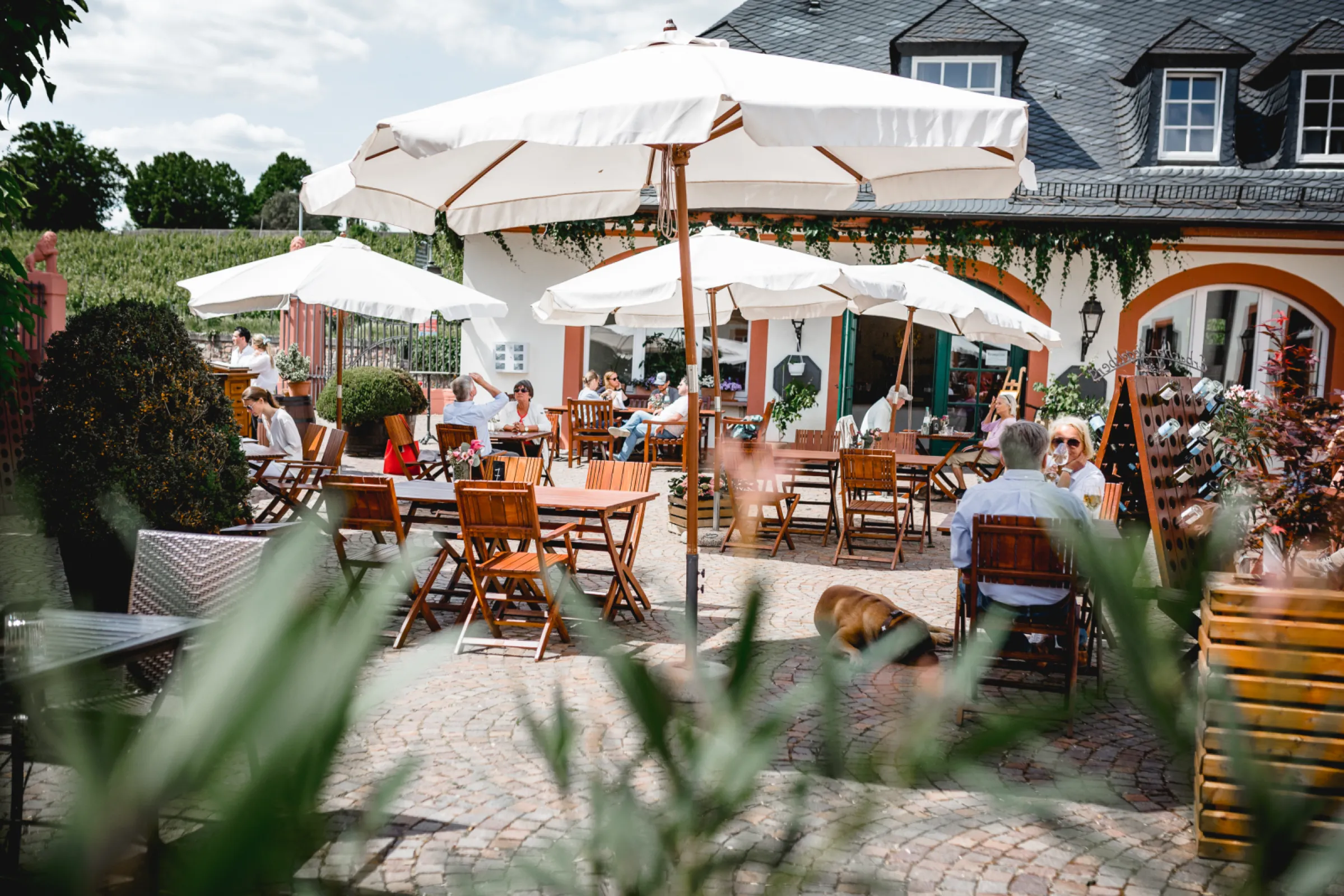 Historic inner courtyard with gastronomy