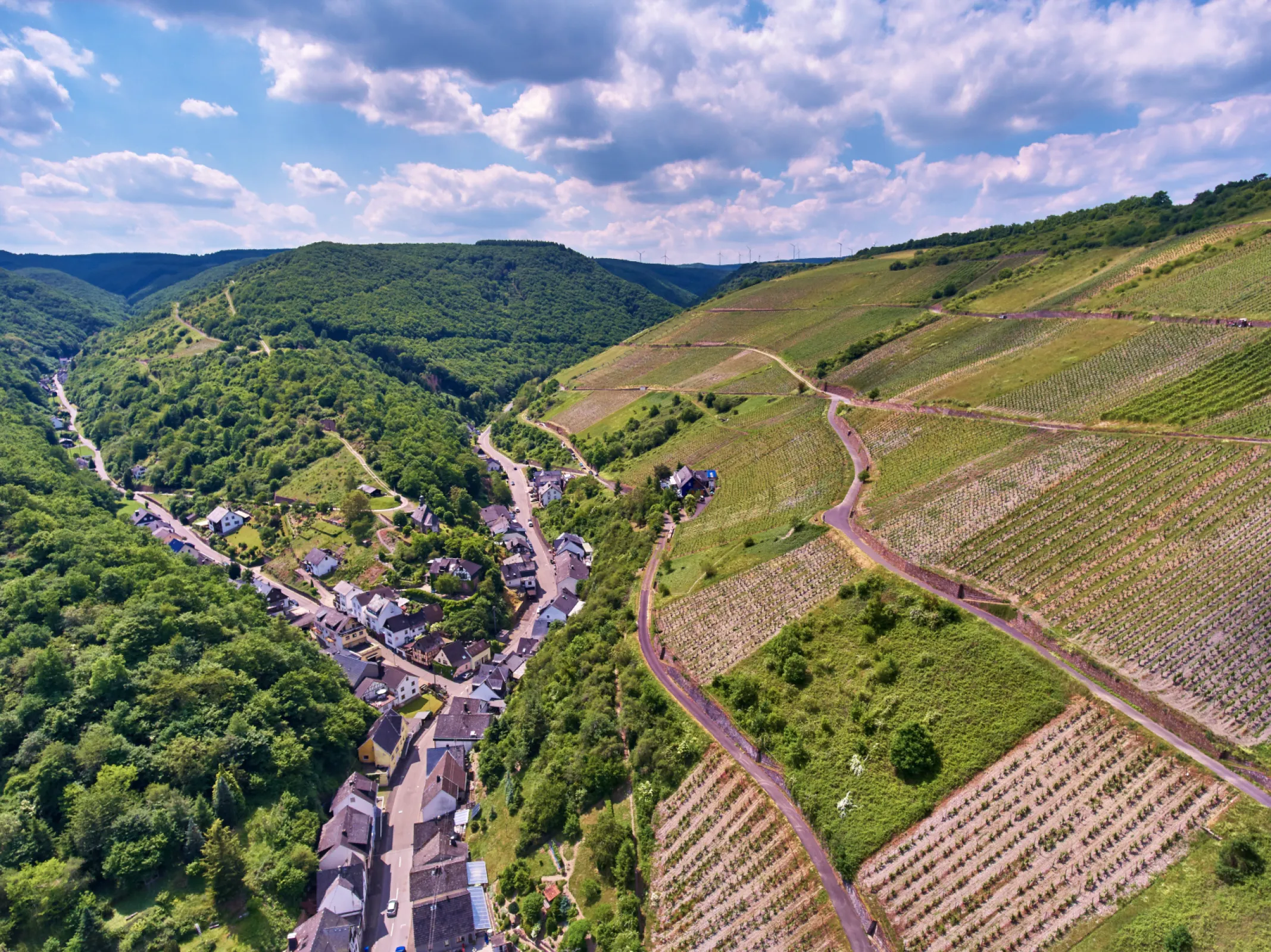 Premier Cru site Engehoeller Goldemund