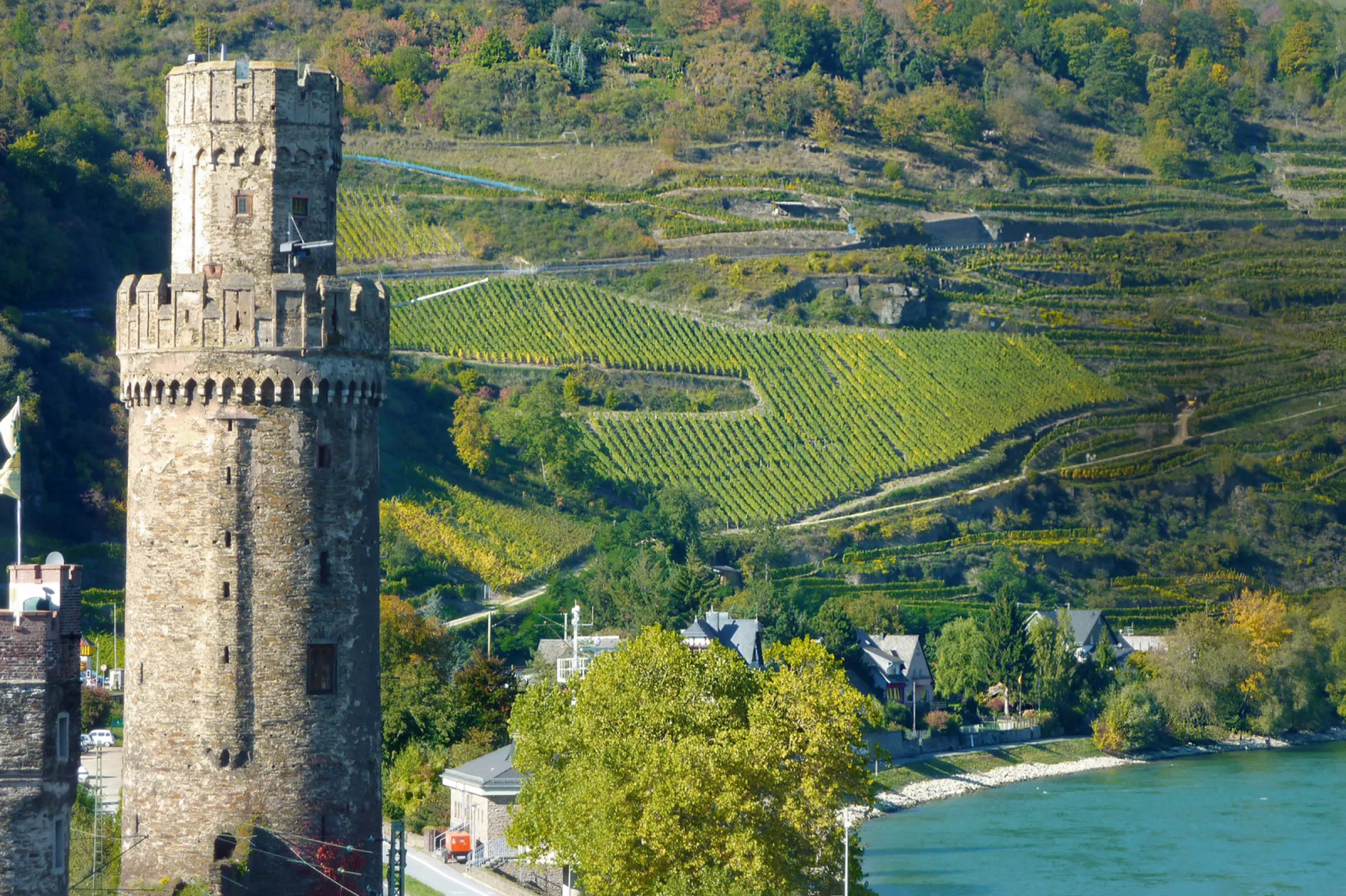 Grand Cru site Oelsberg