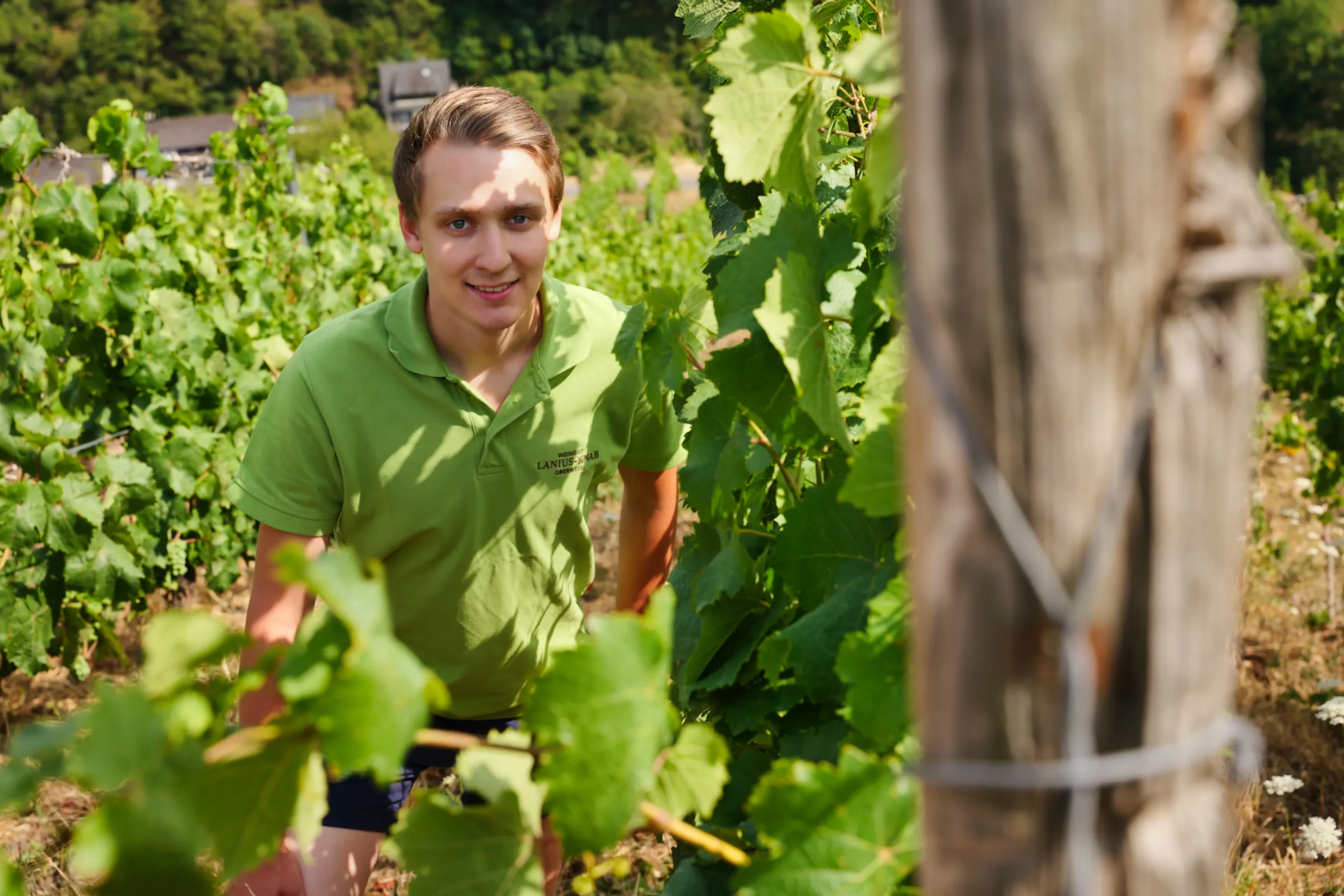 Marius Kastien at the vinyard