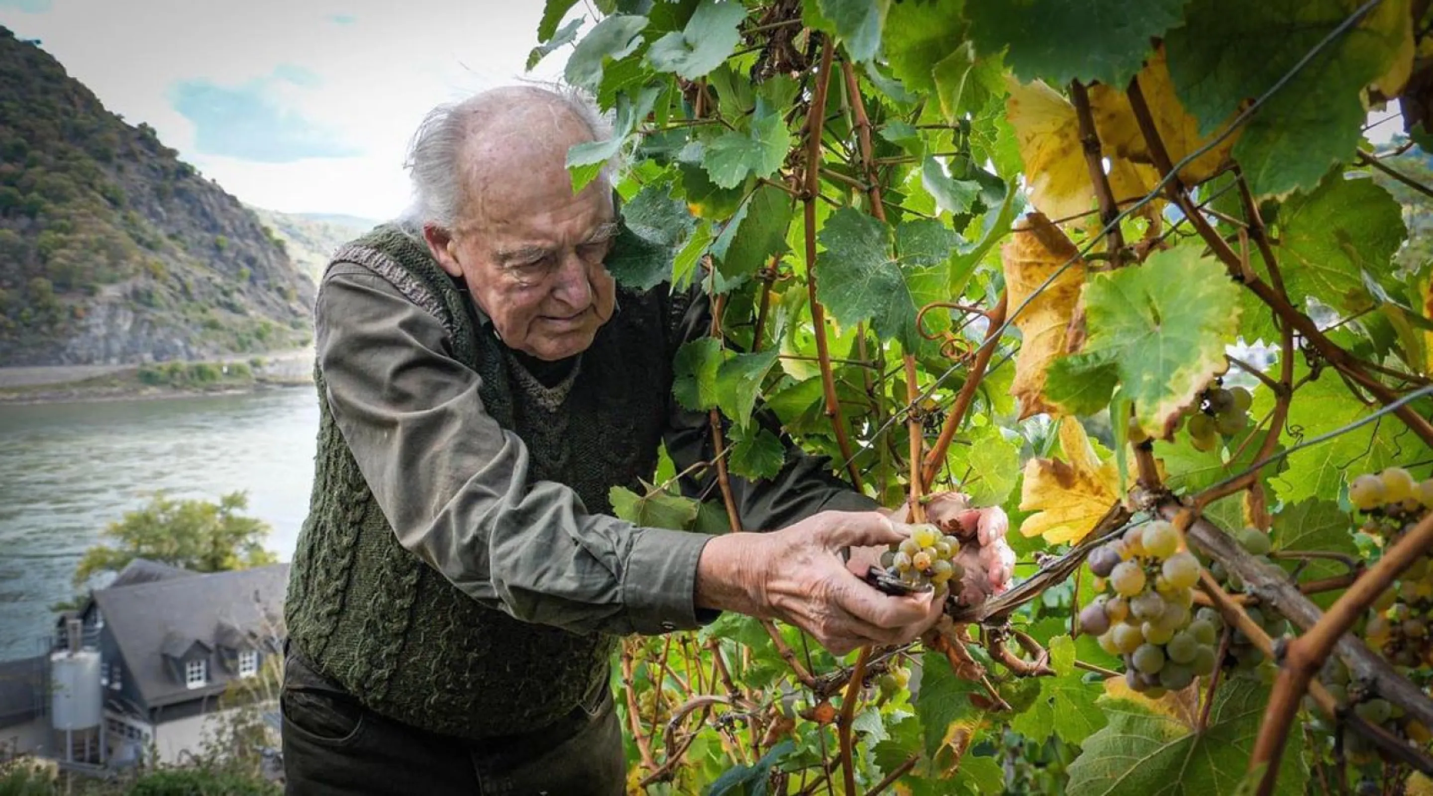 Erich Lanius Harvest