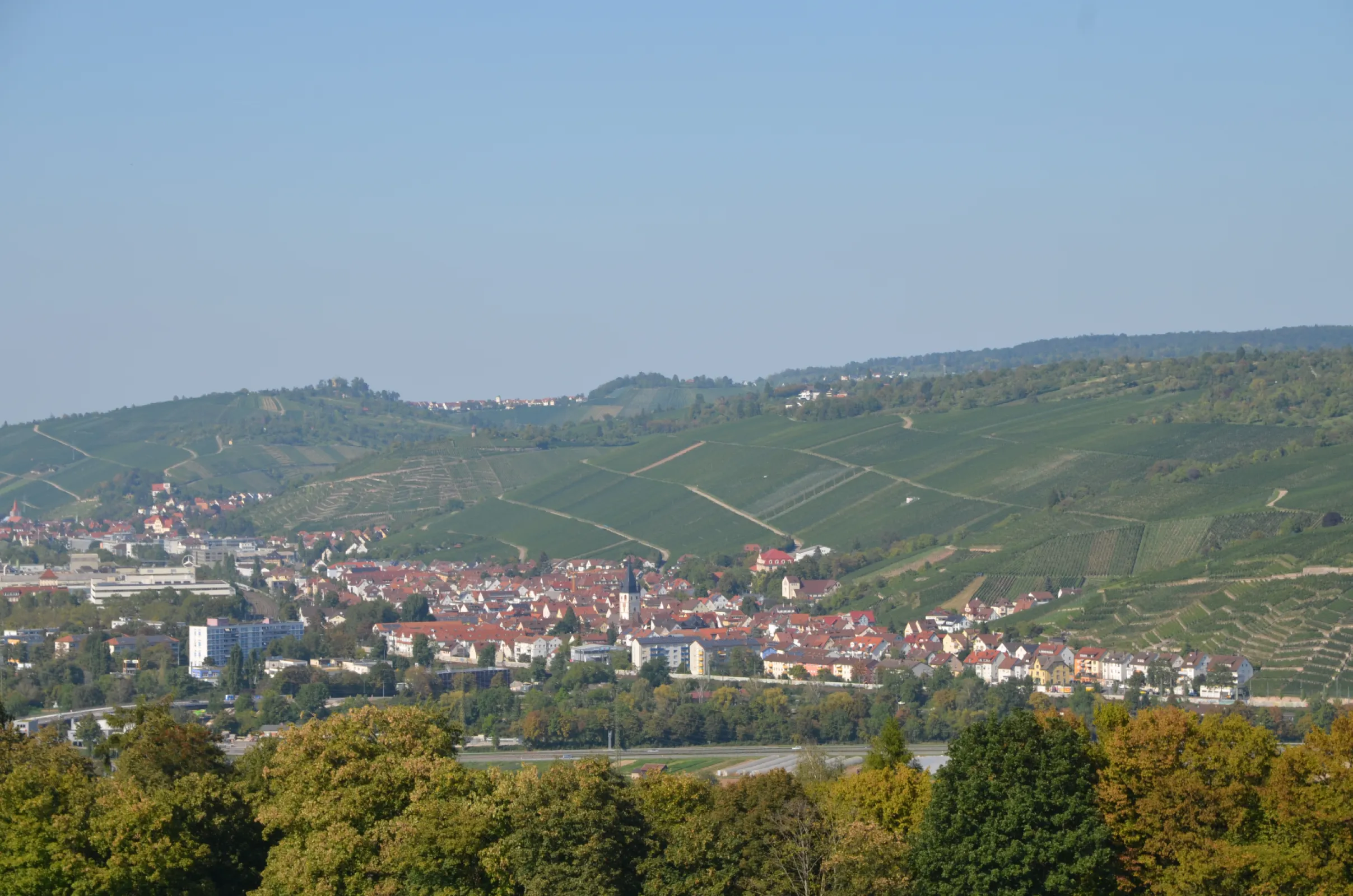 View of the Neckar Valley in Esslingen with its vineyards.