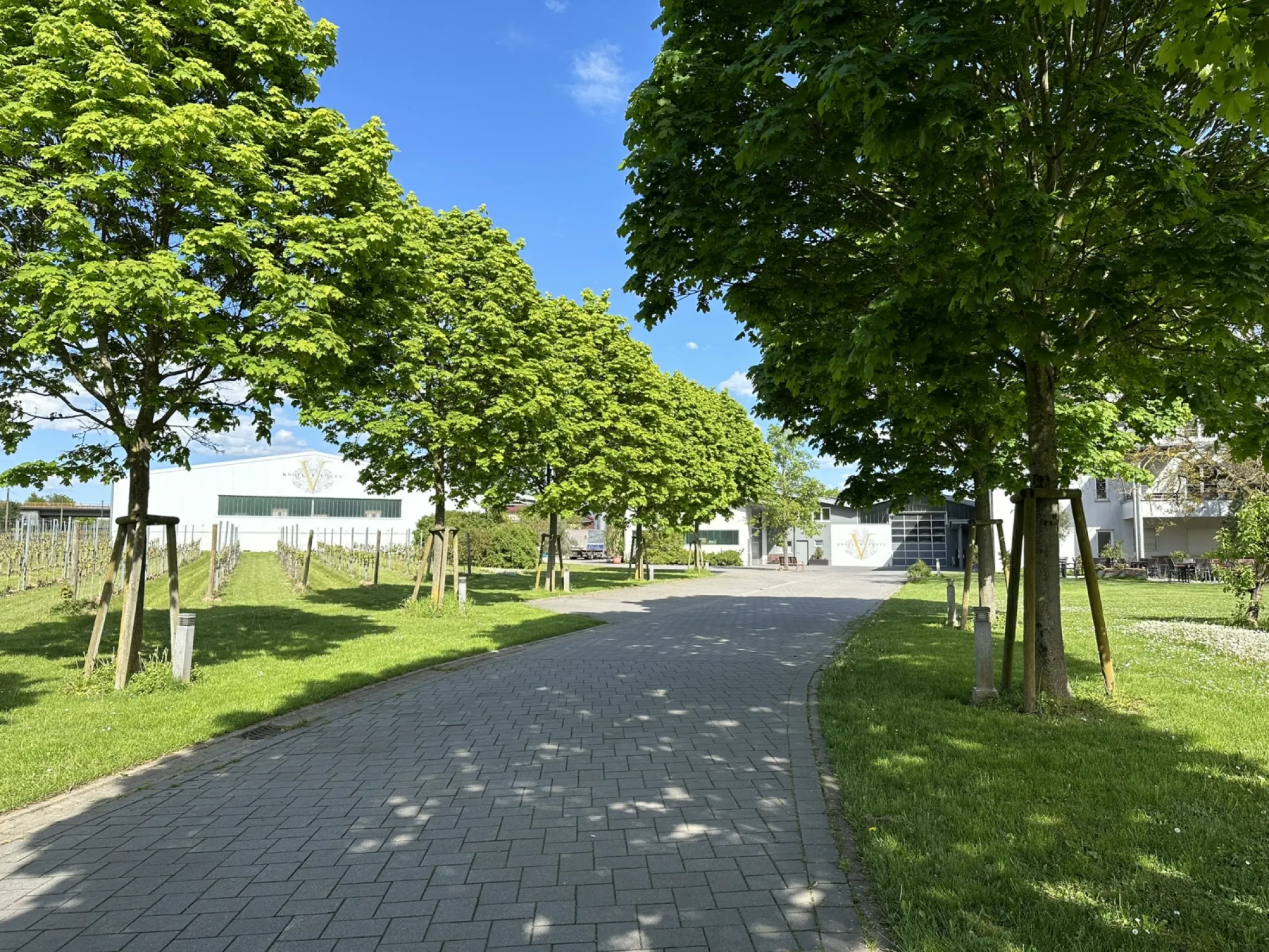 Knöll & Vogel Winery (Manfred Vogel)