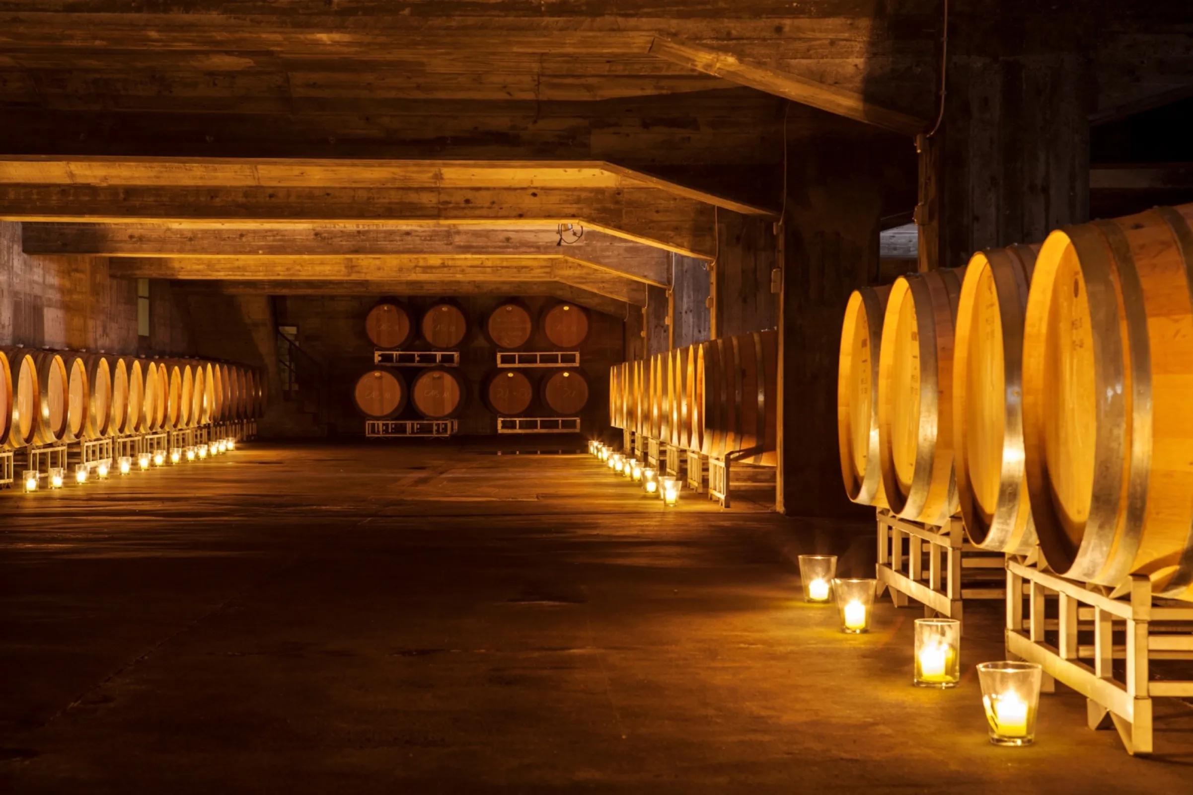 Cellar with wooden barrels