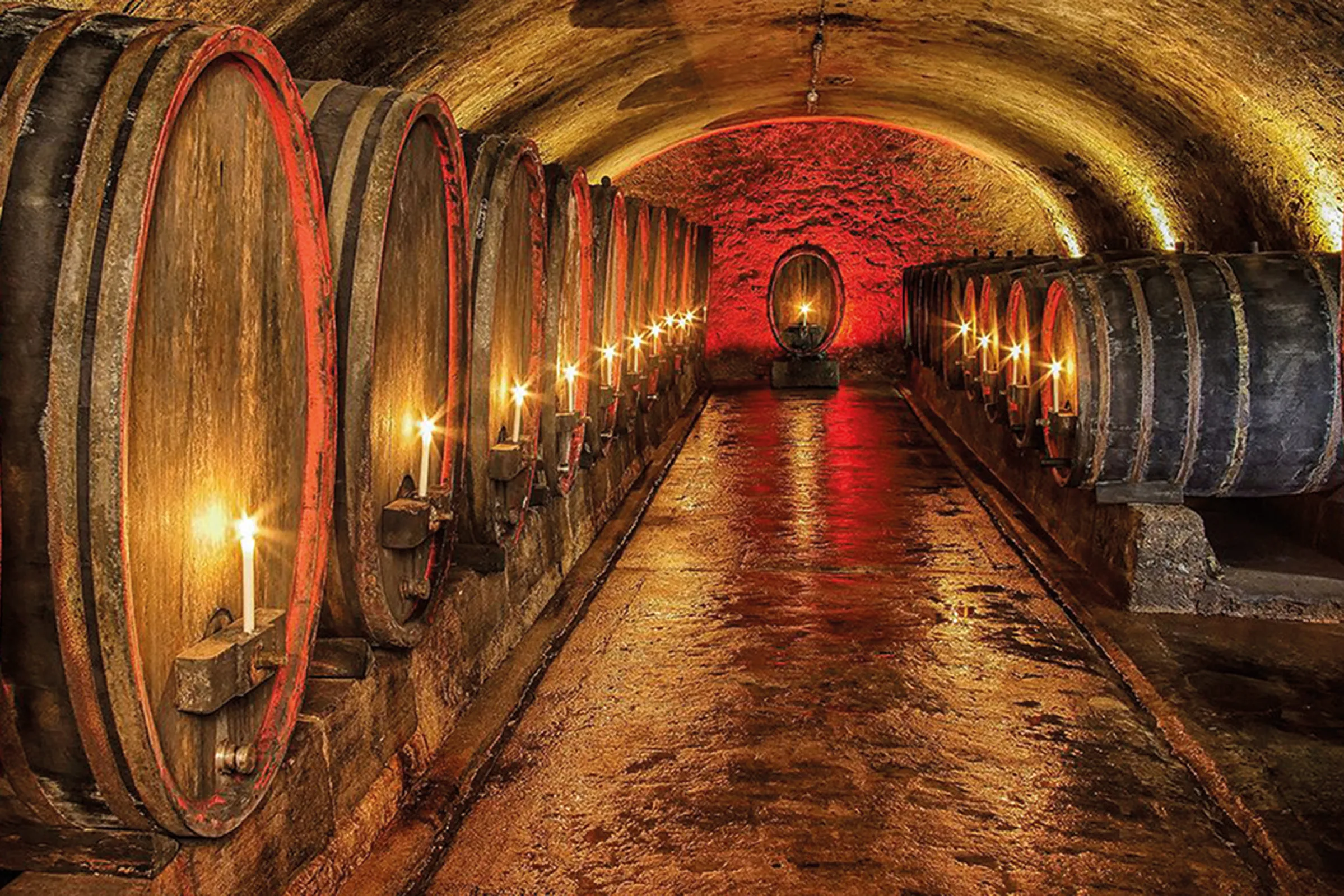 Lanius-Knab vaulted cellars