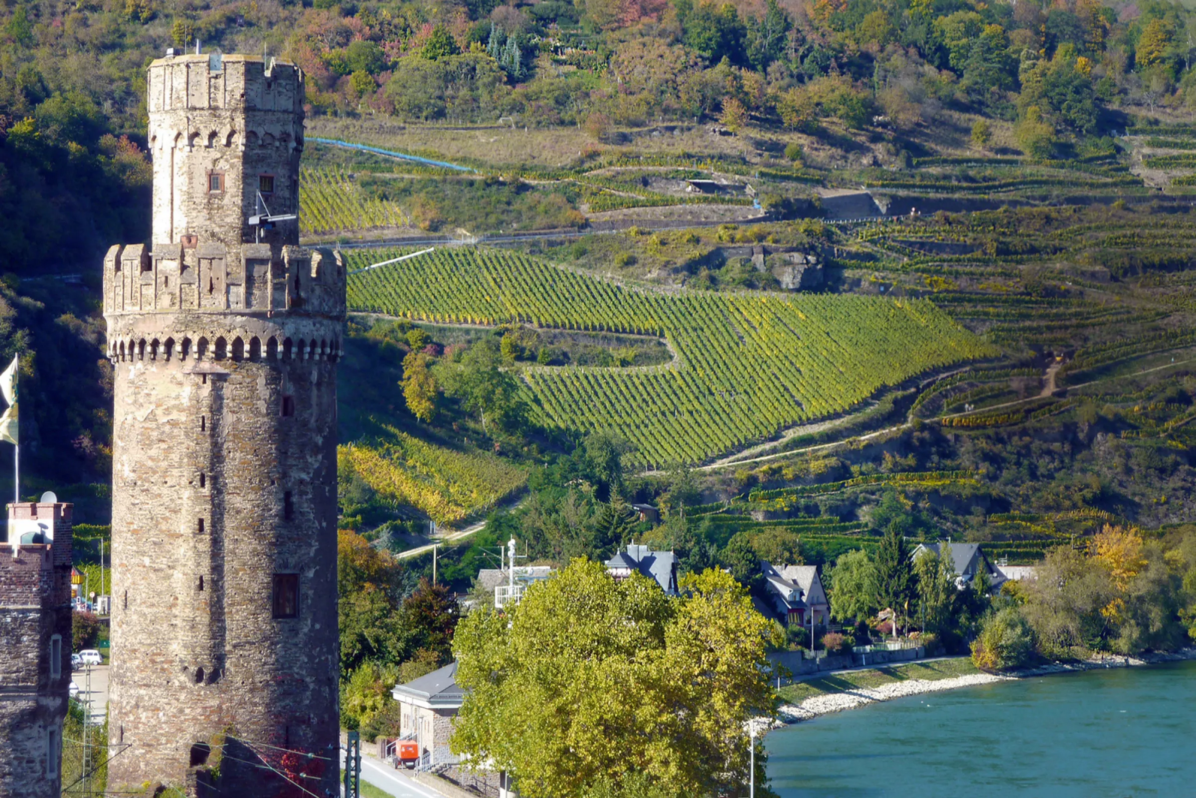 vineyard location ‘Oberweseler Oelsberg’