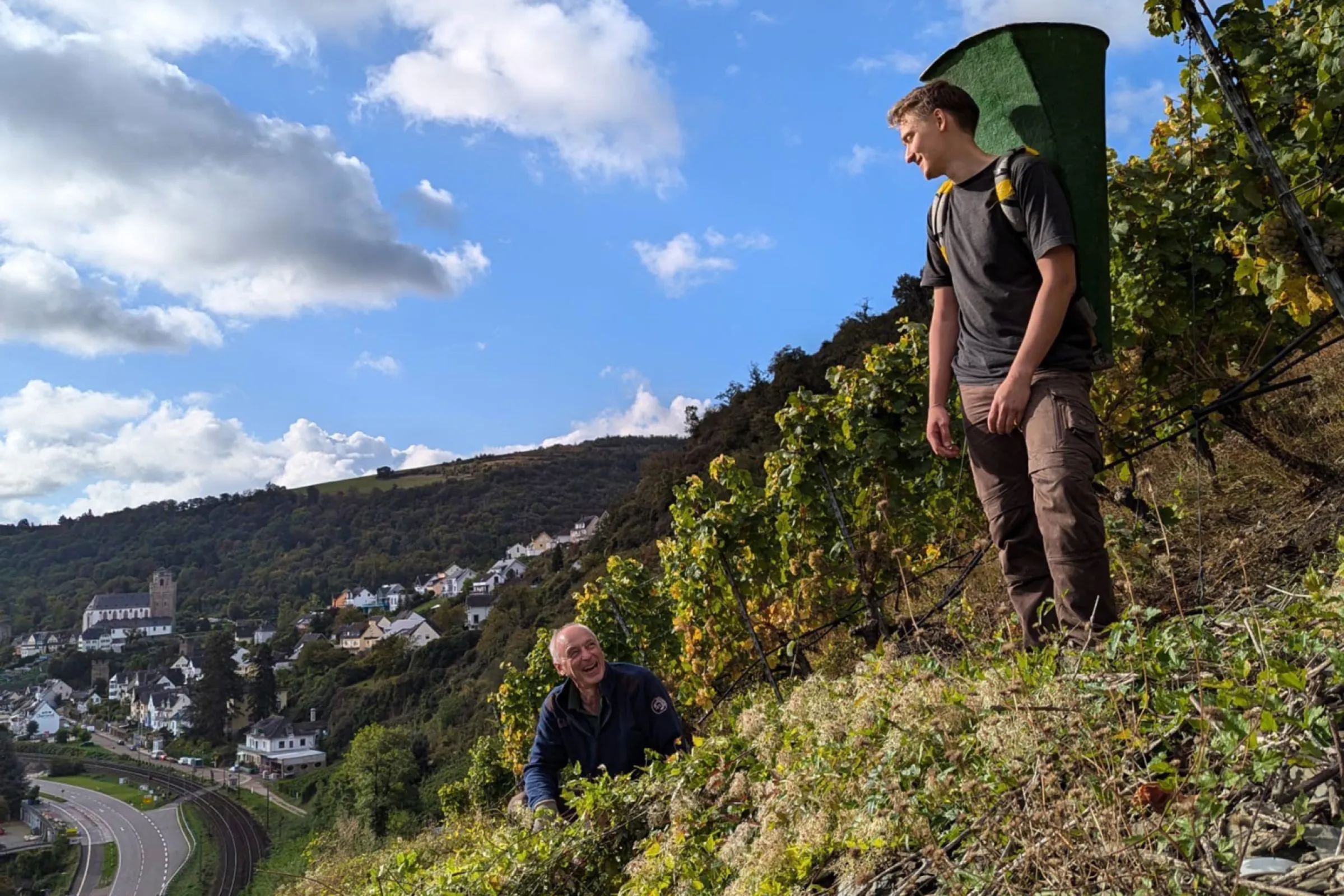 Grape harvest on steep slopes