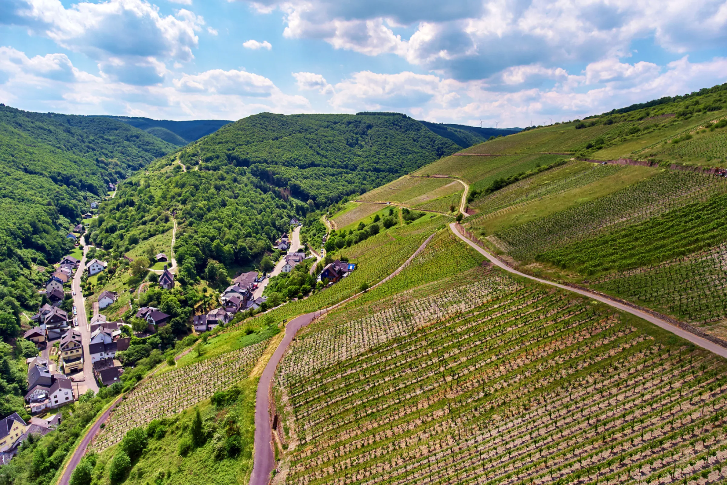 vineyard location ‘Engehöller Goldemund’