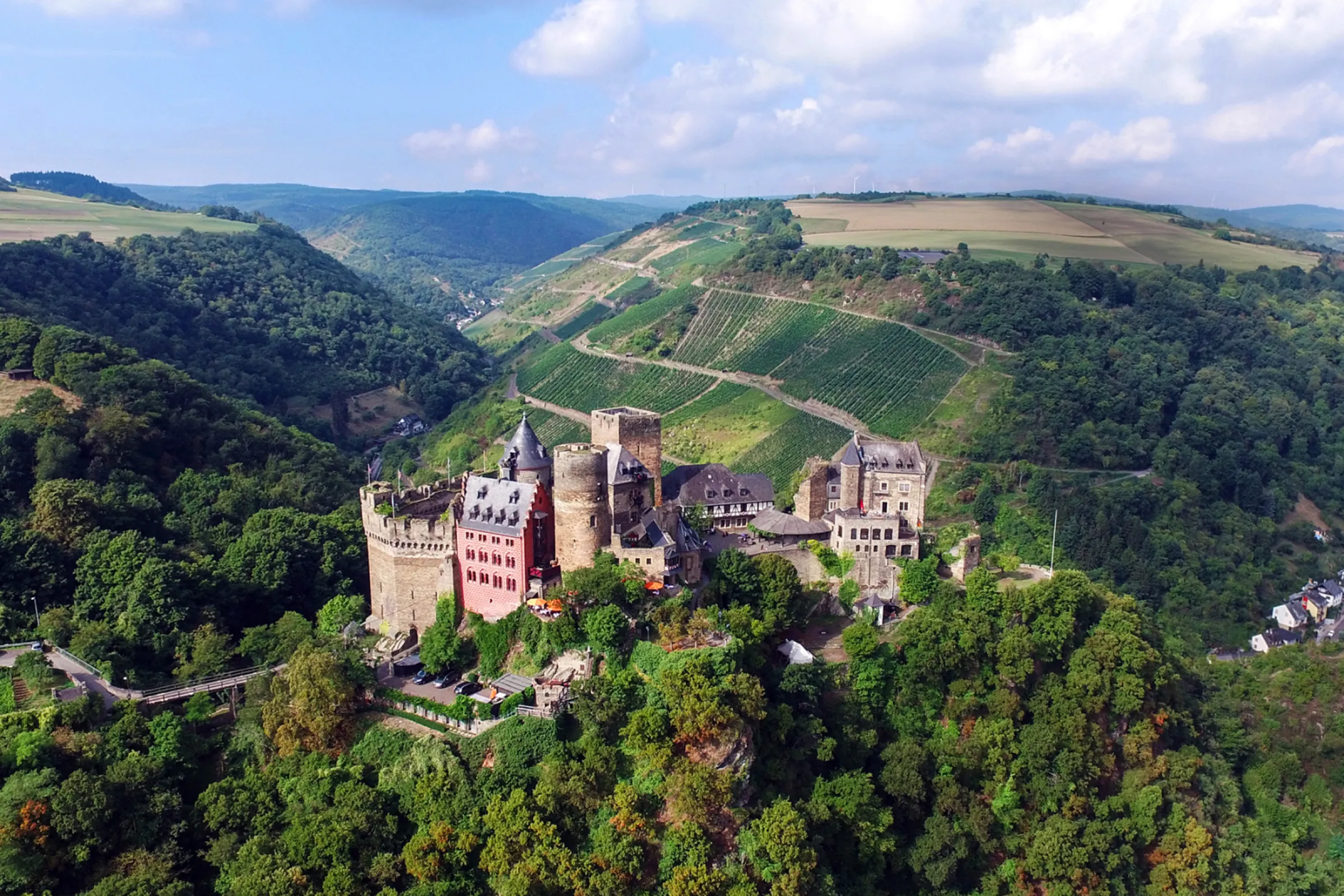 vineyard location ‘Bernstein’