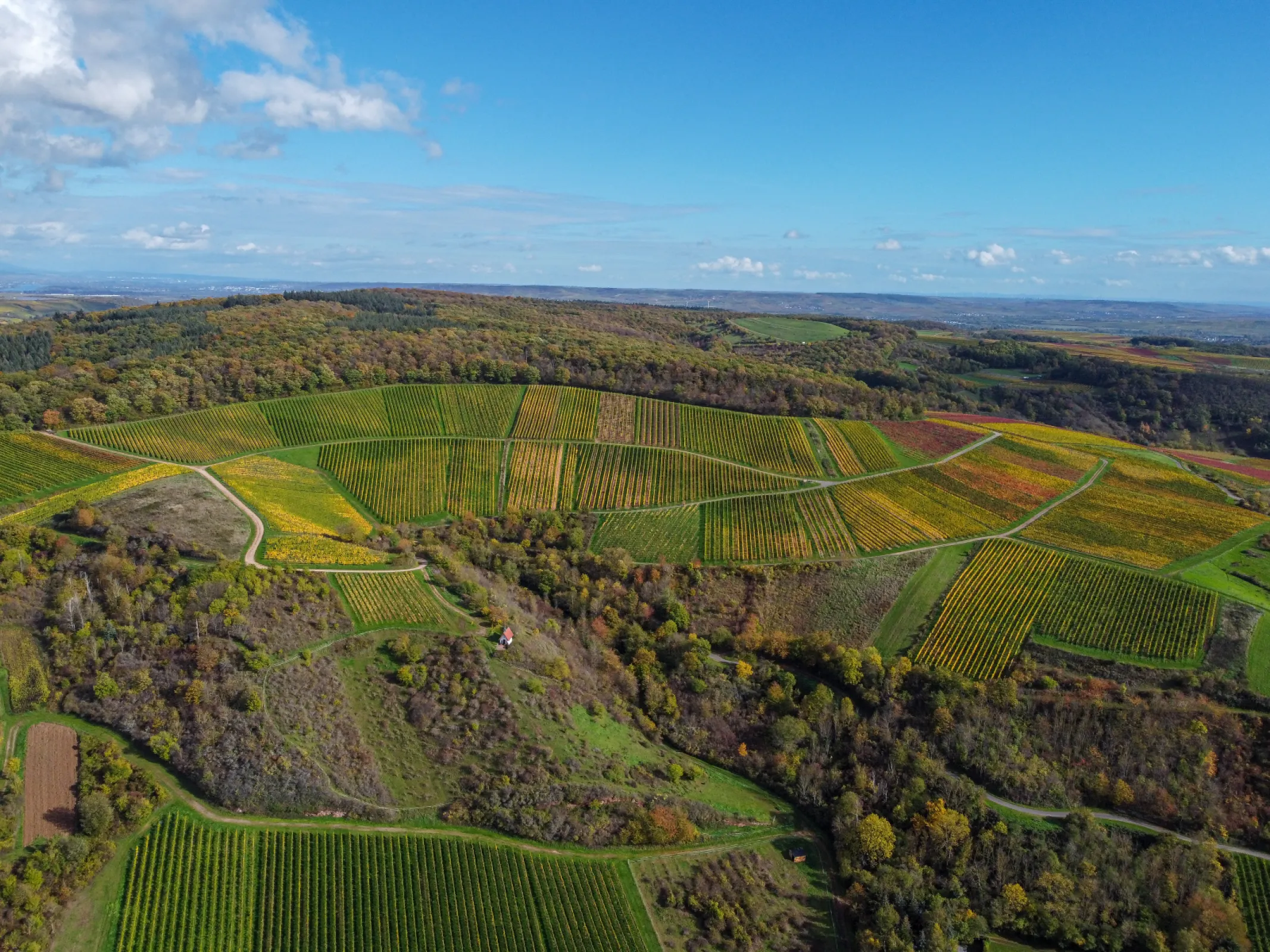 Windesheimer Römerberg vineyard