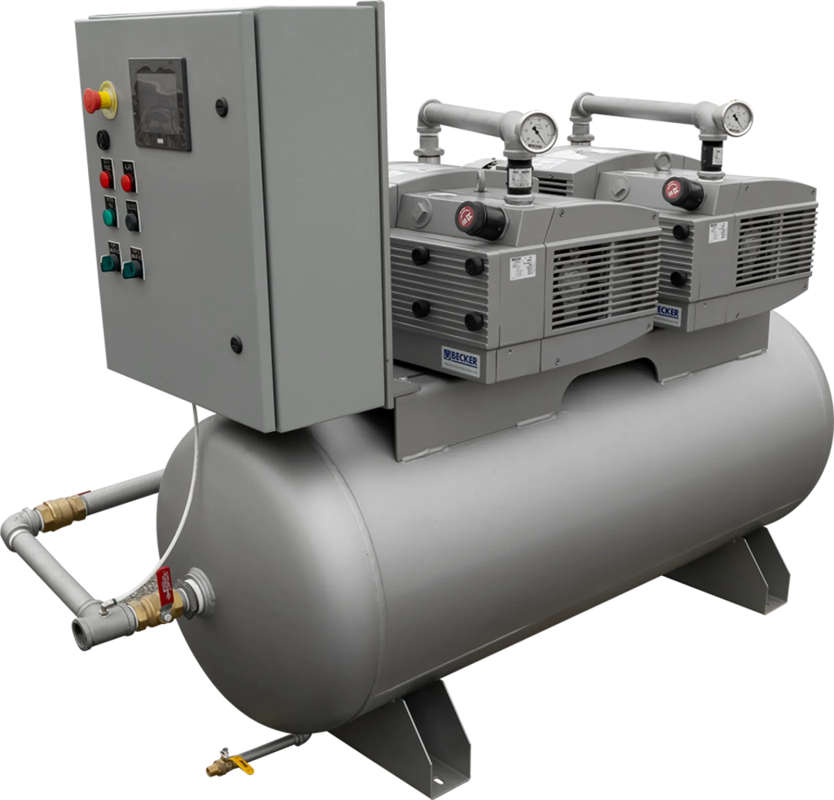 Dry rotary vane pump vacuum system