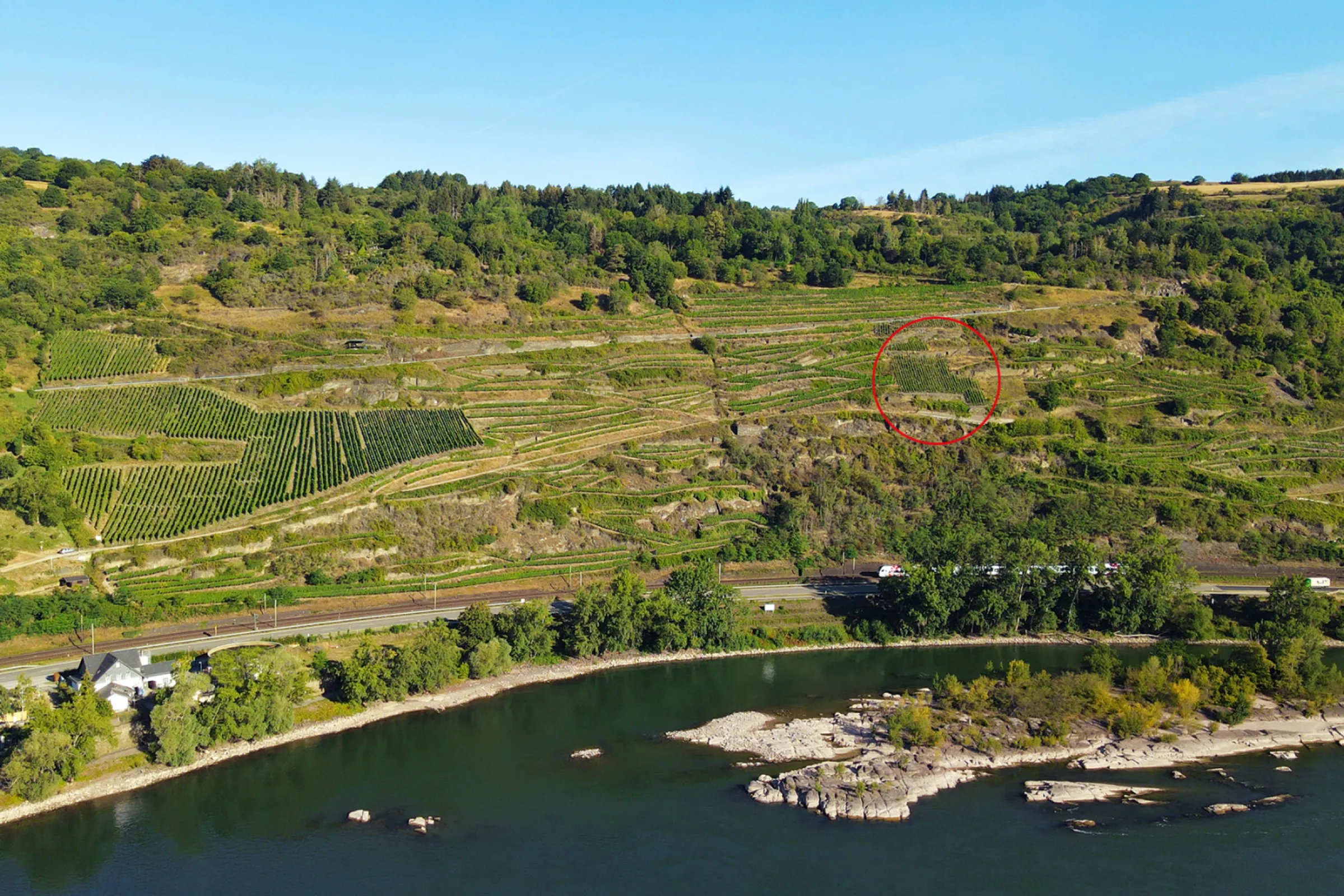 Location of our vineyard ‘In der Rheinhell’