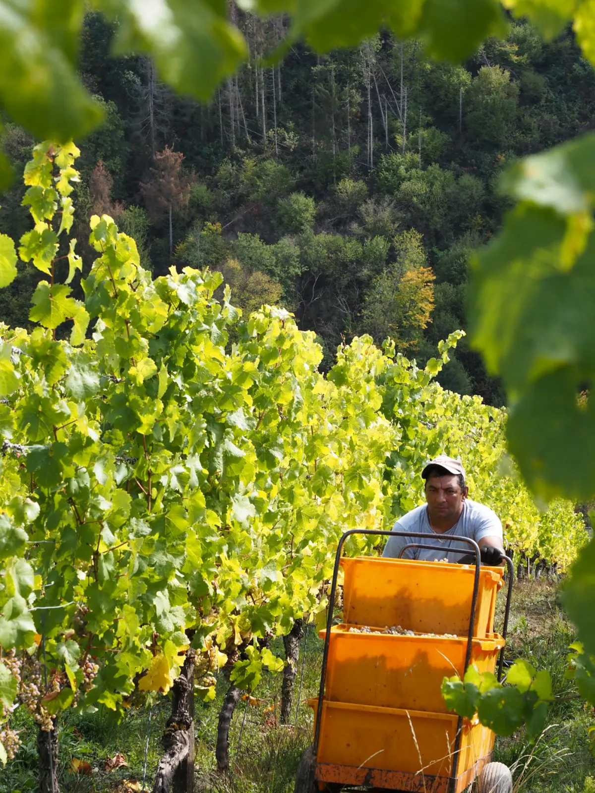 Working on steep slopes