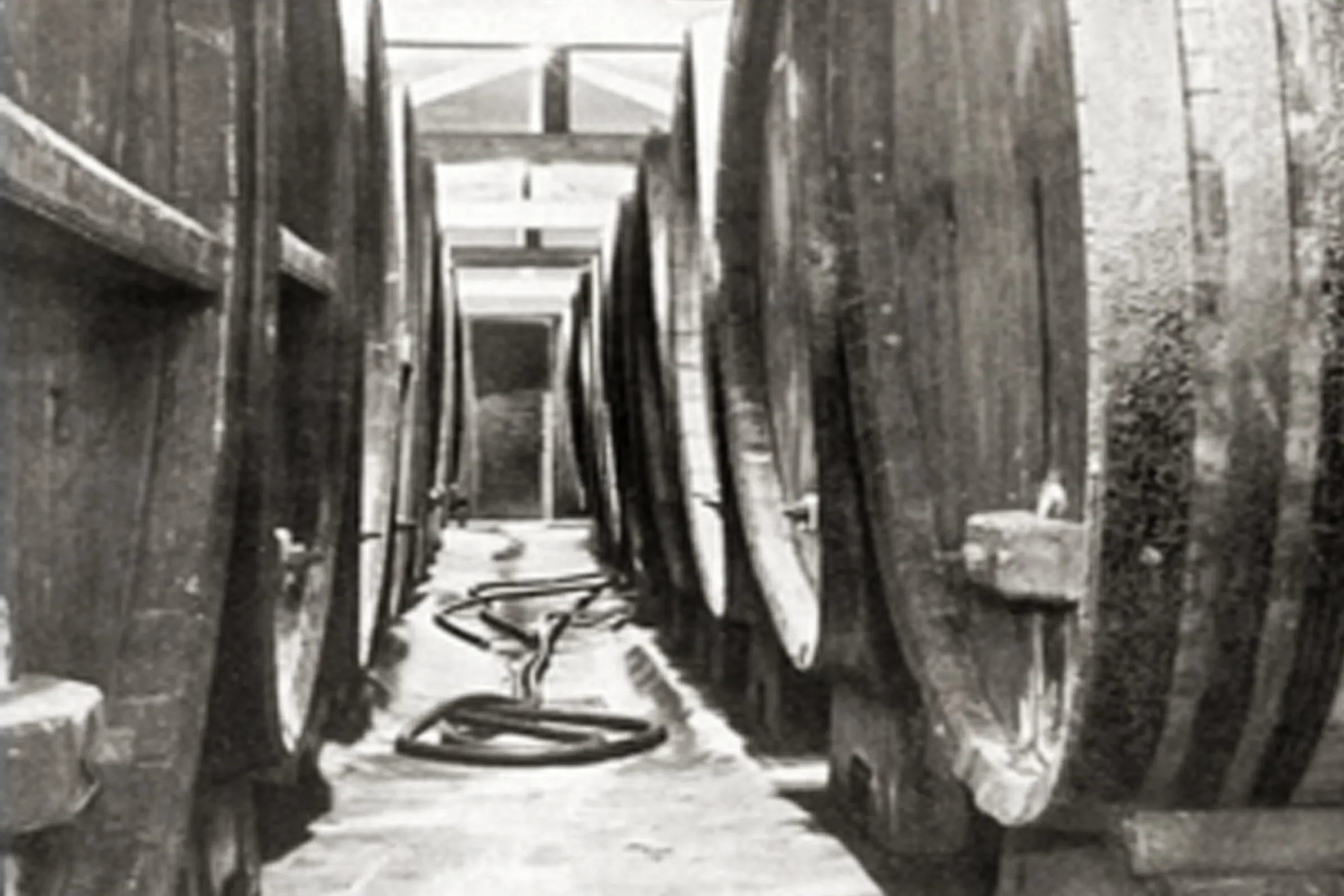 Wooden barrels for fermentation