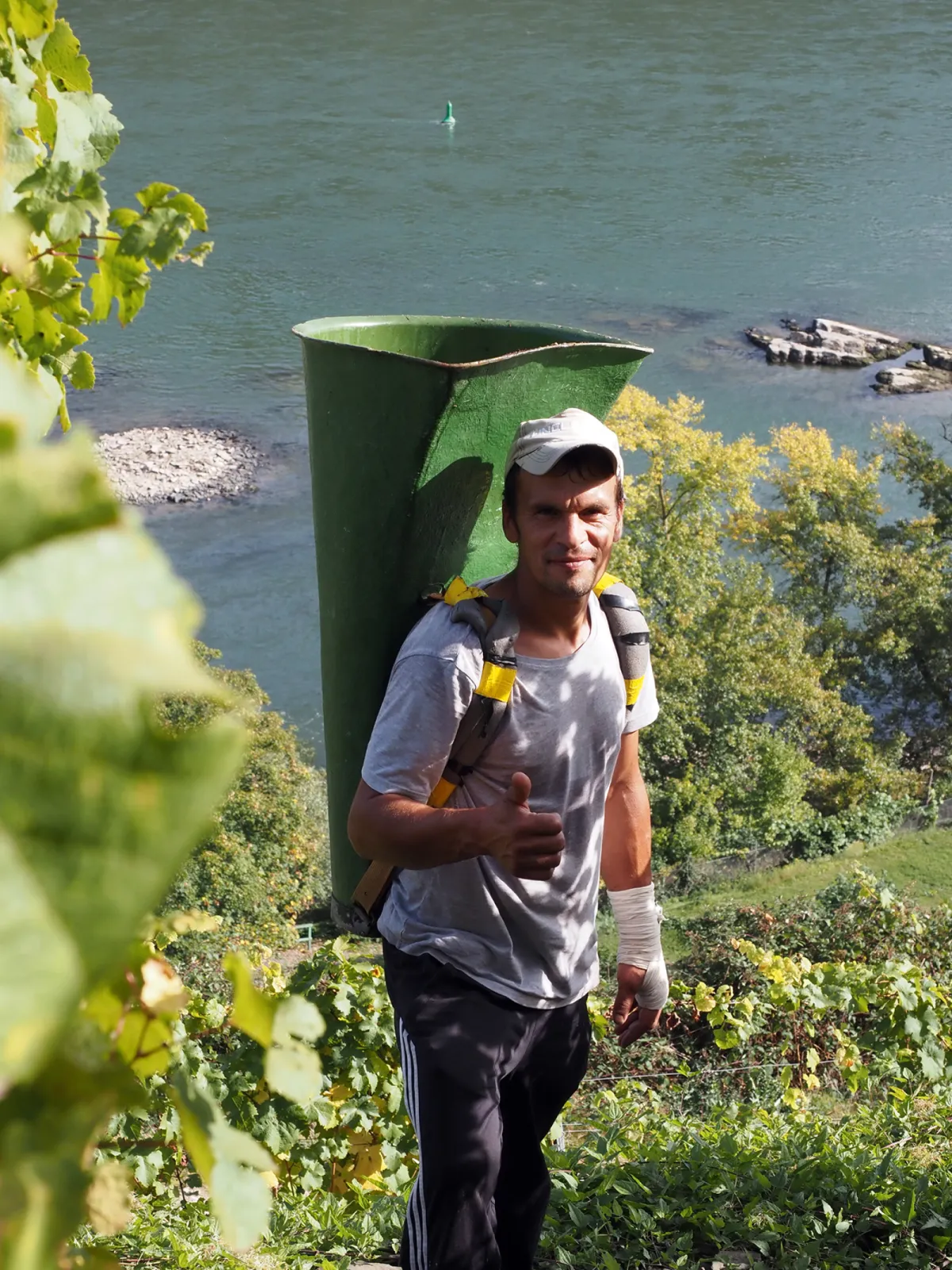 Grape harvest on steep slopes