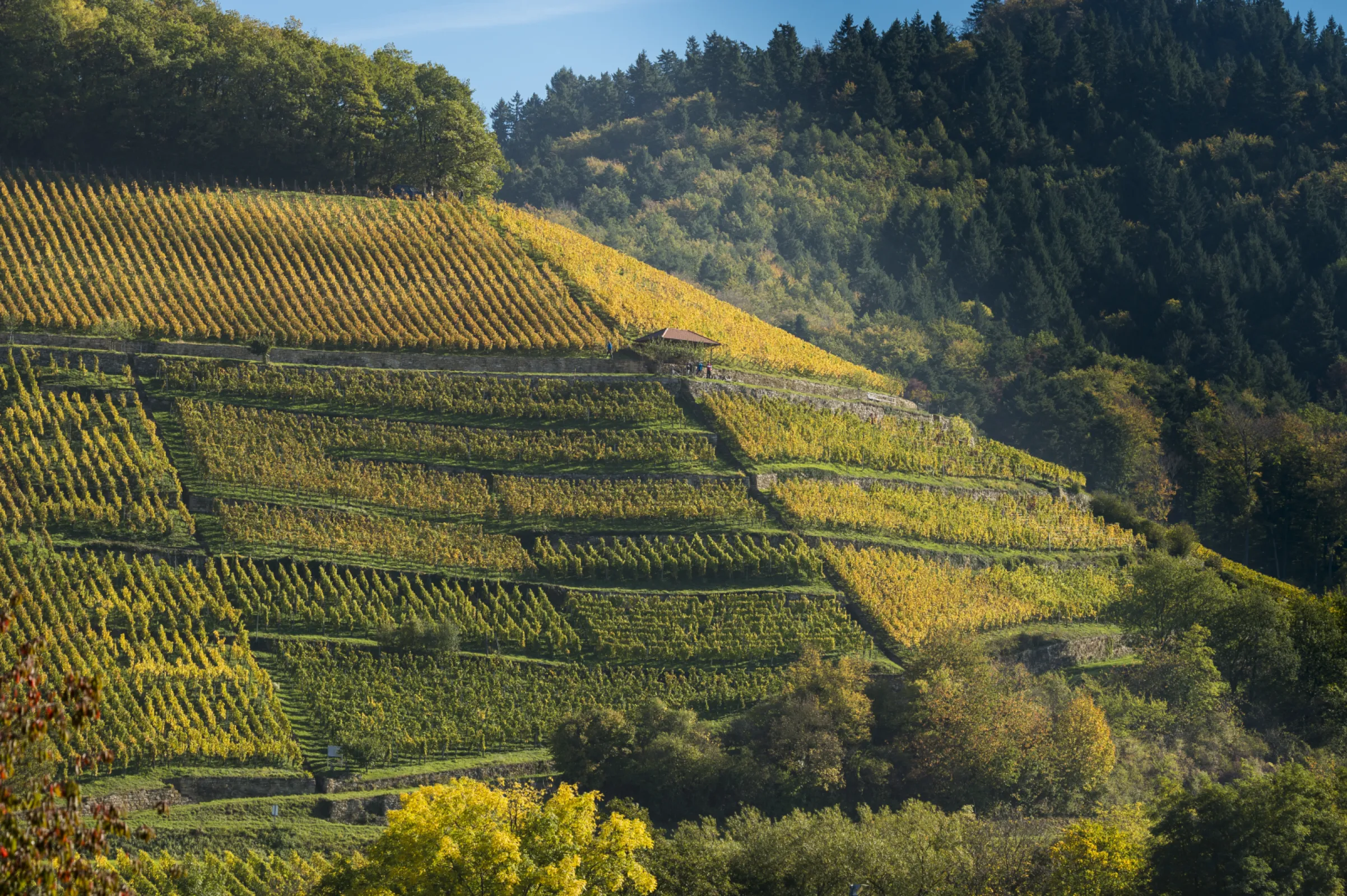 Dottinger Castellberg