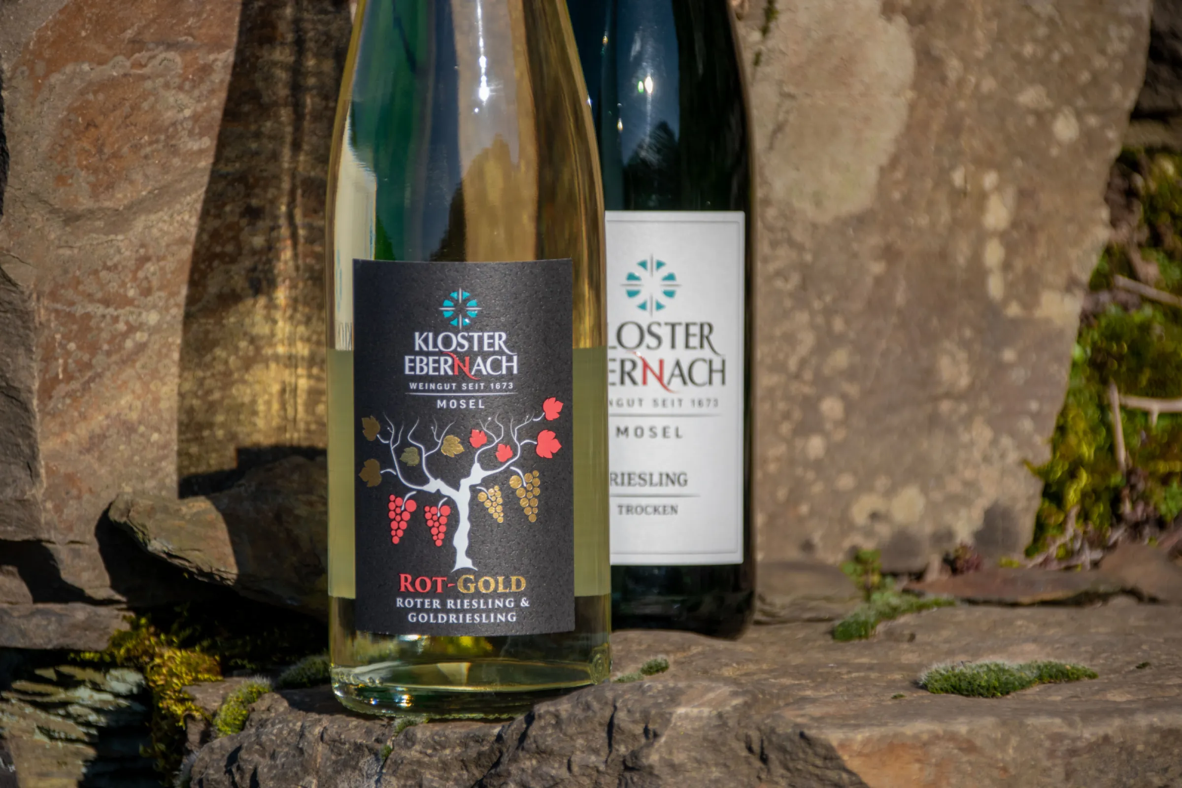 Rot-Gold & dry estate Riesling