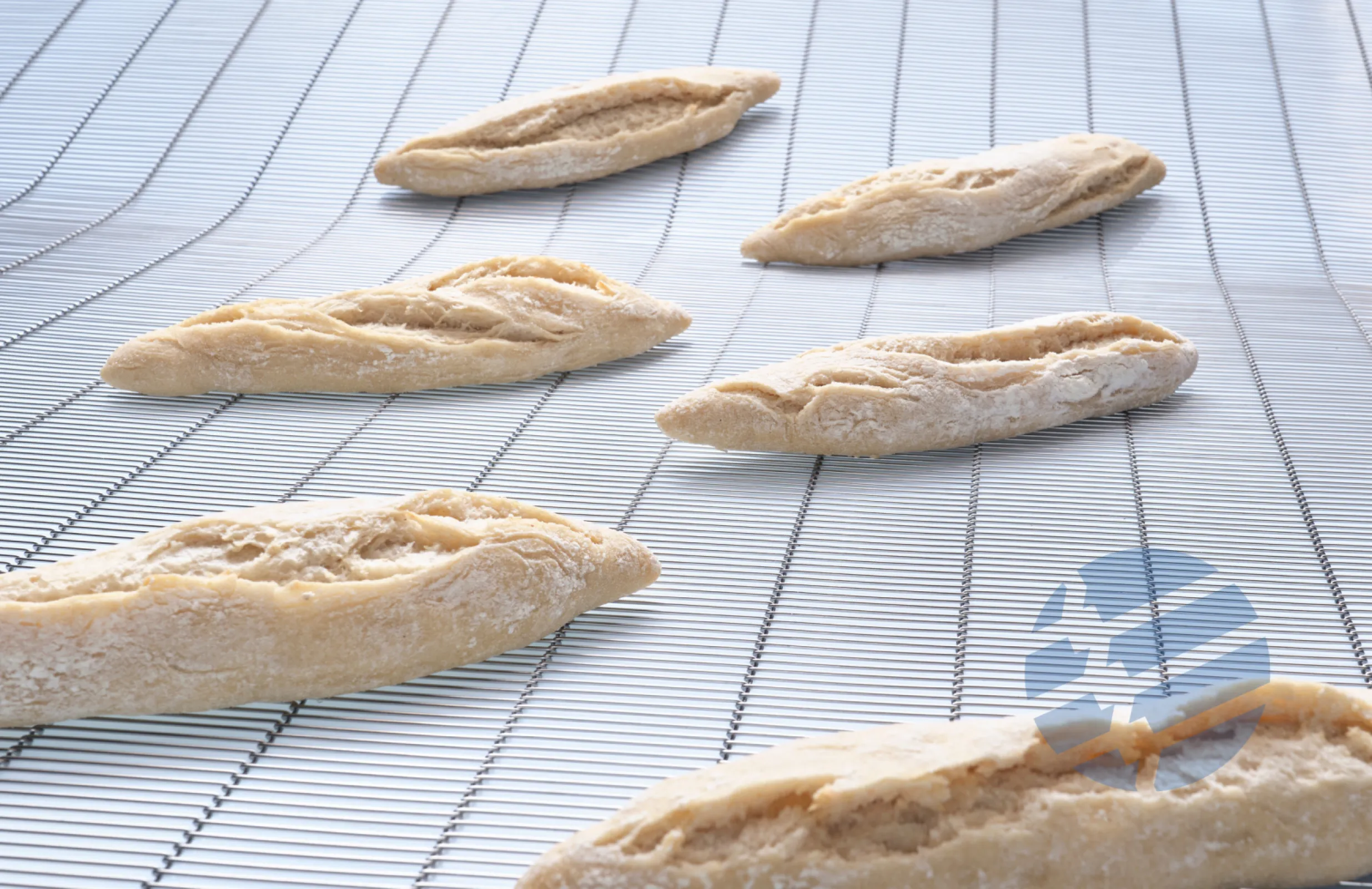 Flat-Flex® conveyor belt