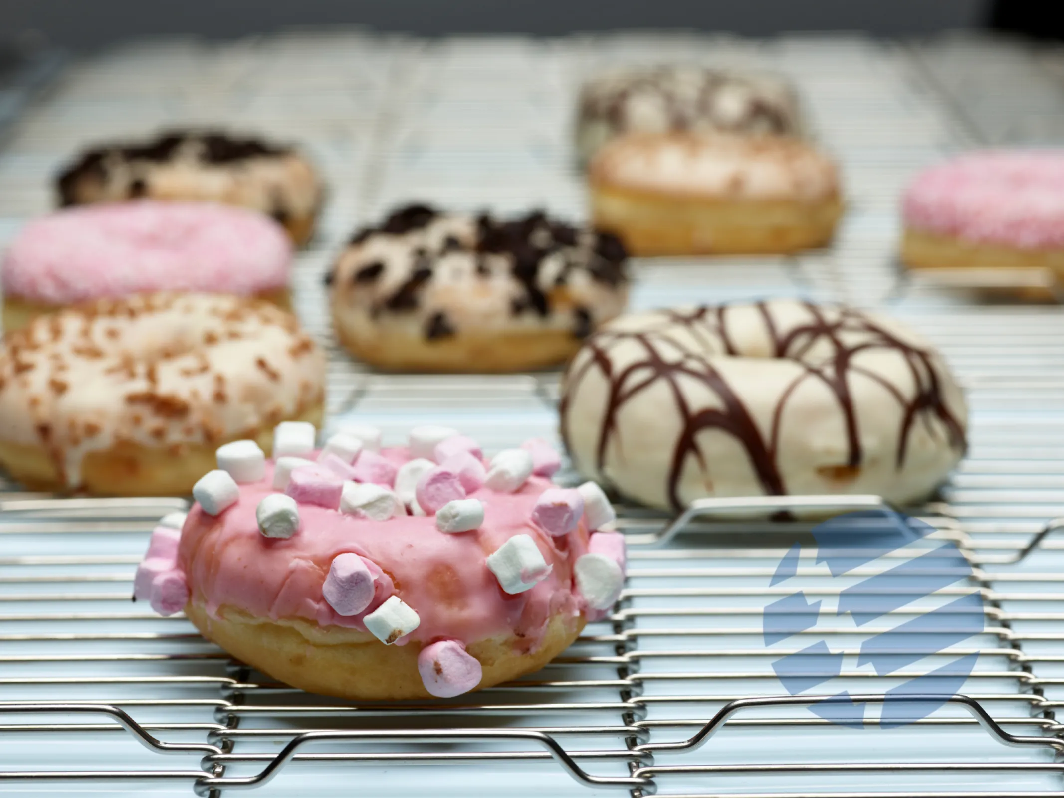 Flat-Flex® conveyor belt