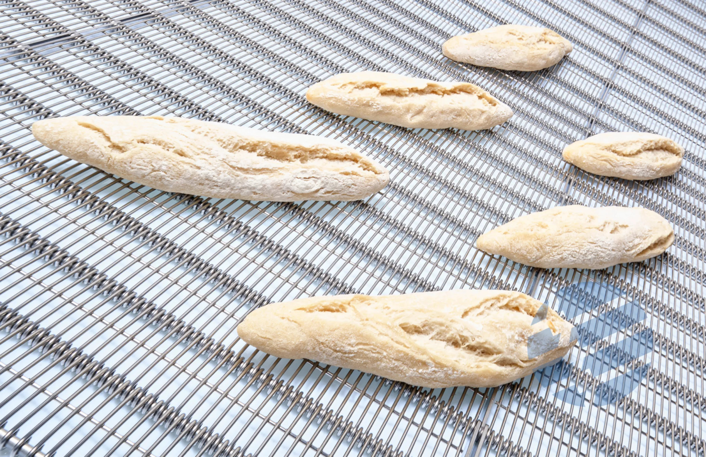 Eye-Flex® conveyor belt