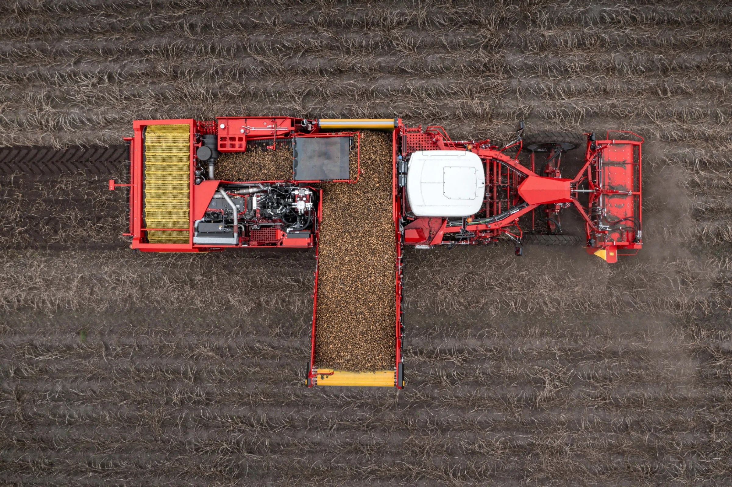 VARITRON 470: 4-row, 7 t NonstopBunker, high separation, wheels, 460 HP