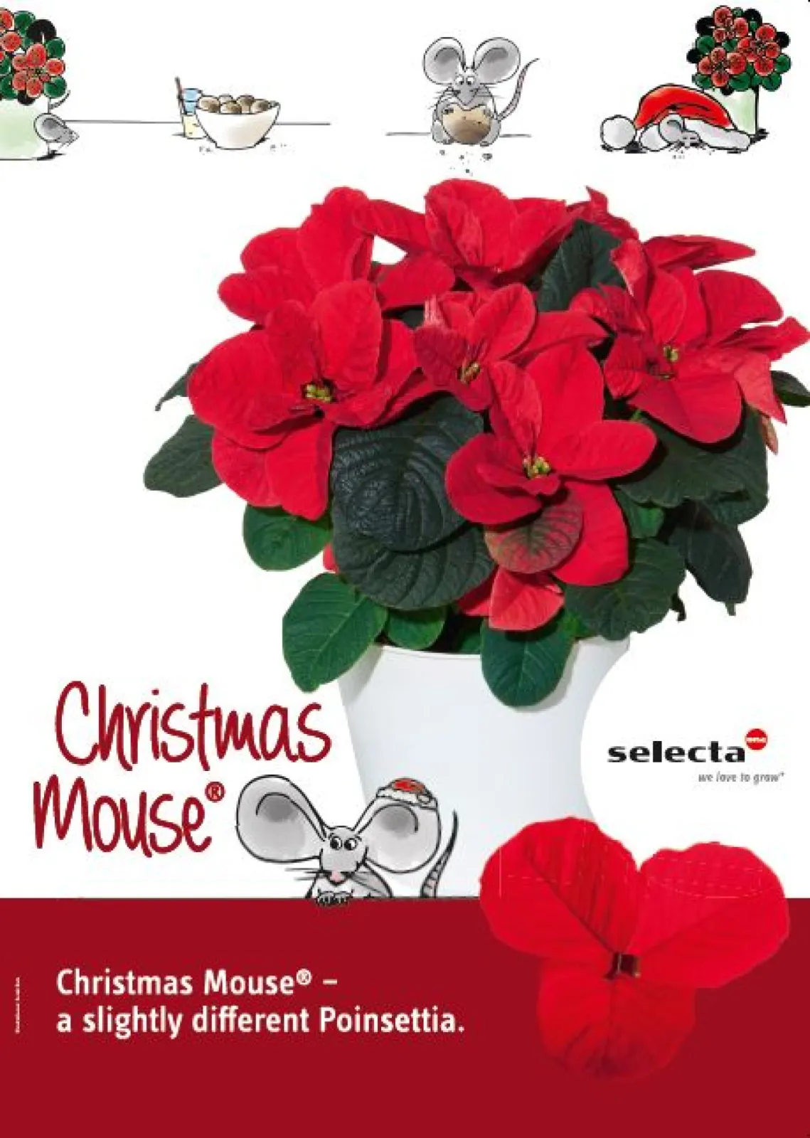 Christmas Mouse