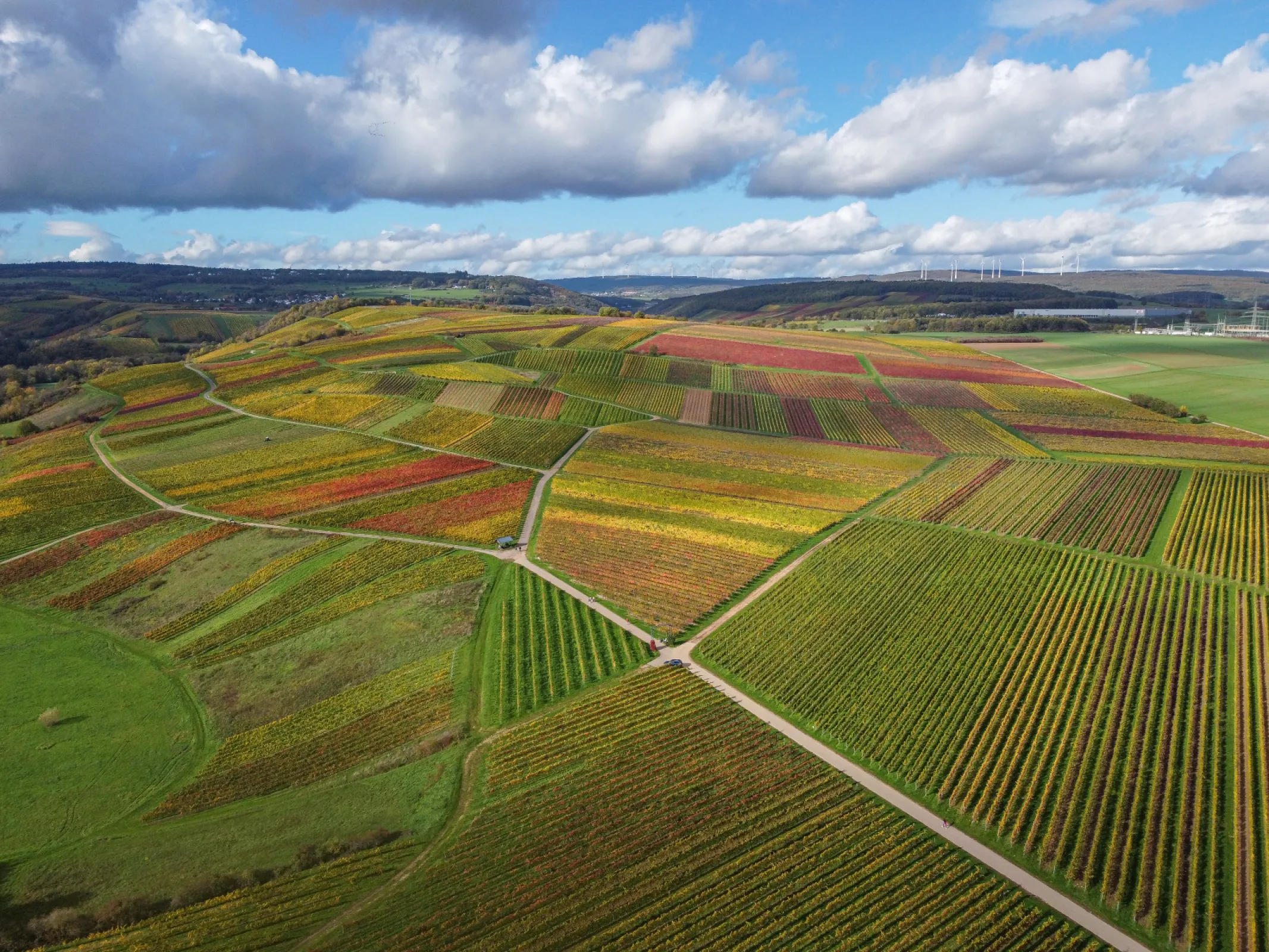 Windesheimer Sonnenmorgen vineyard