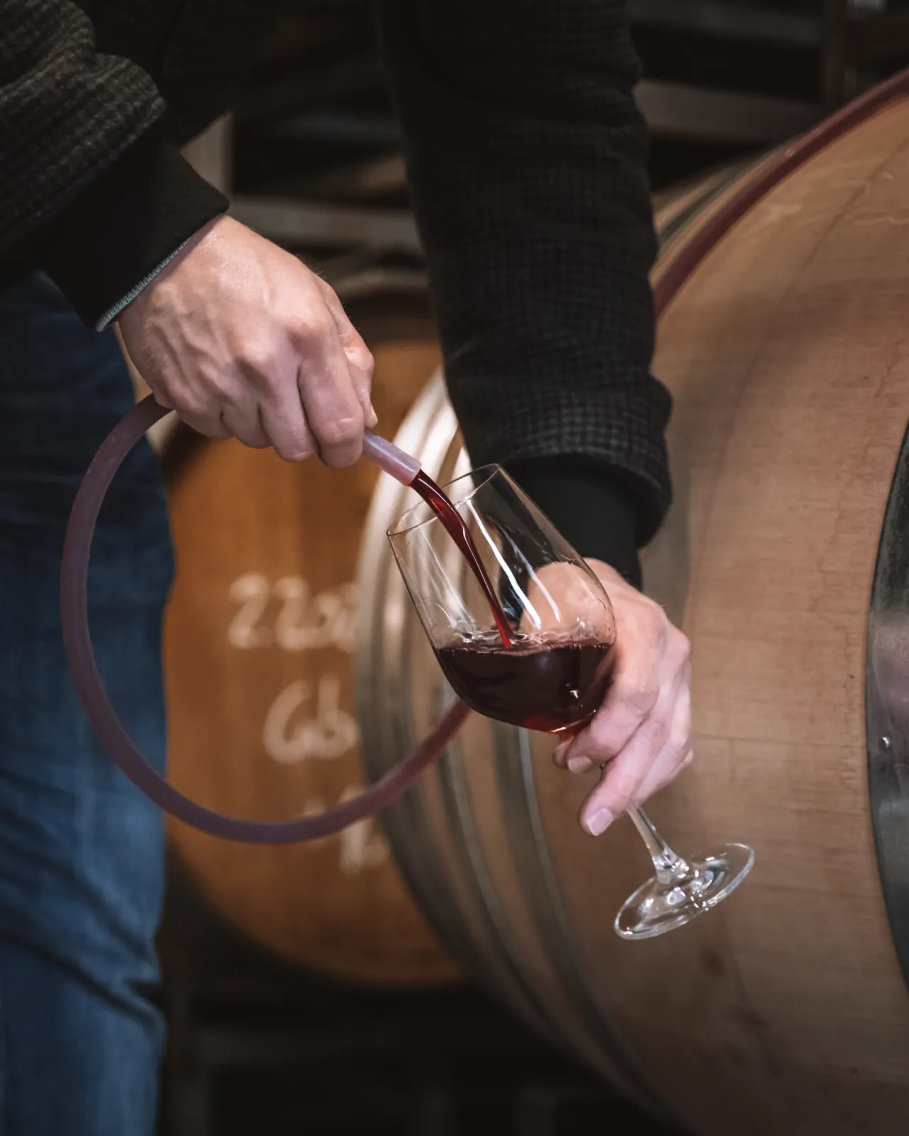 sampling a Pinot Noir