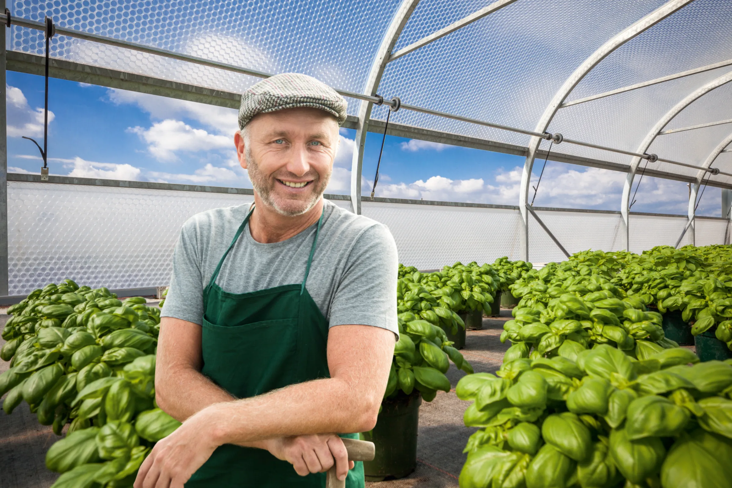 The smart solution for better results in your greenhouse: Polydress® LP-Keder air bubble greenhouse film