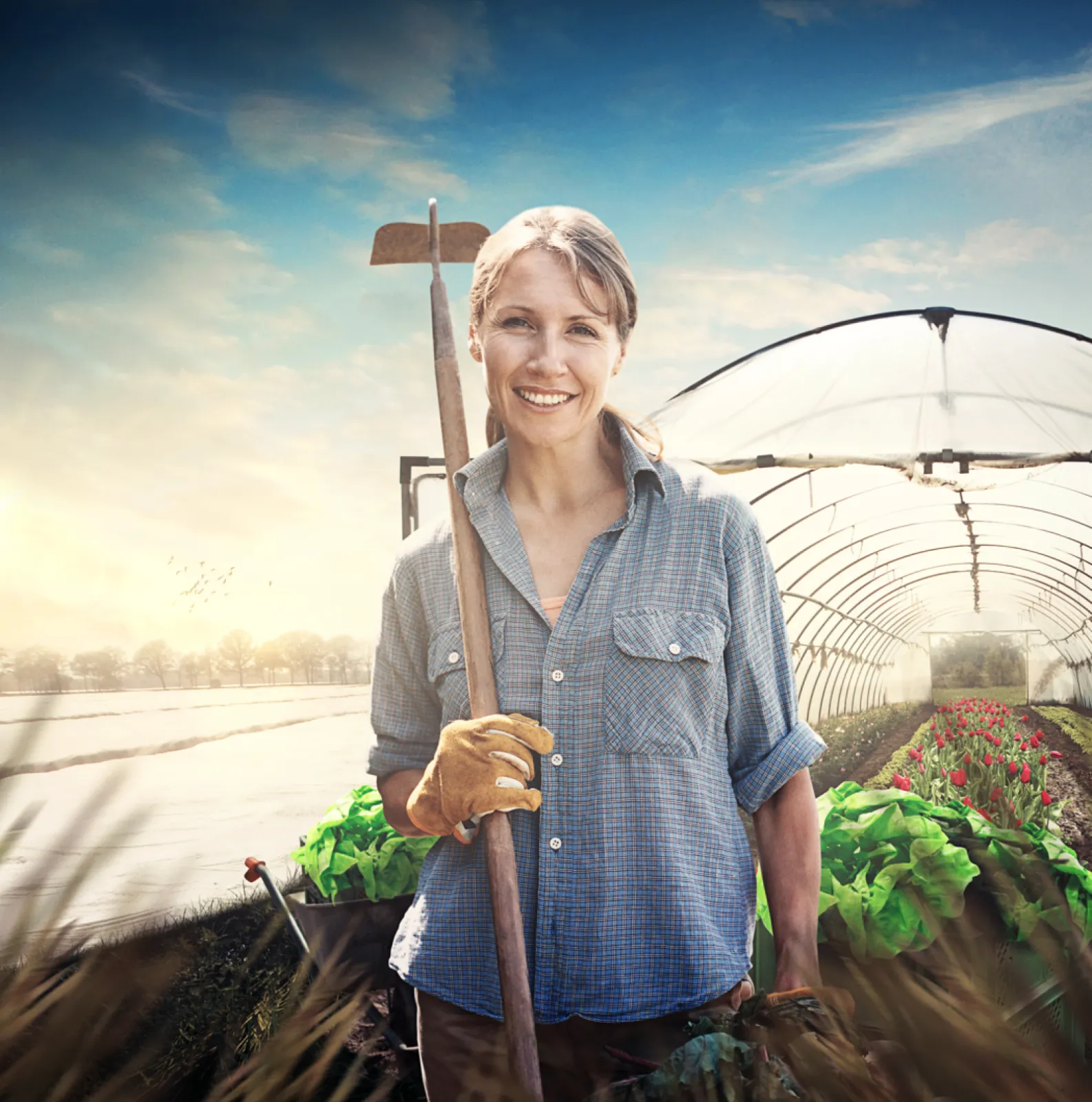 Innovative nonwoven crop cover RKW HyJet®