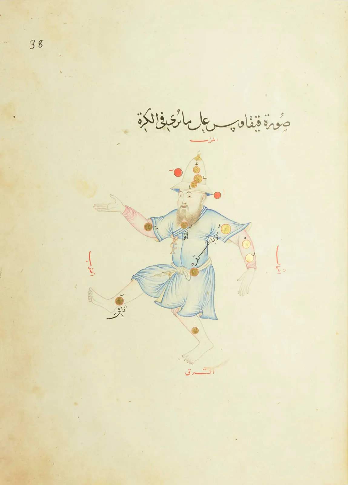 Fol. 38: Cepheus; The bearded face is a portrait of Ulugh Beg, who was made to appear in the night sky with this honourable tribute.