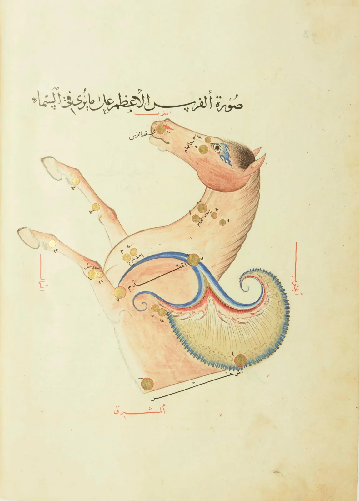 Fol. 93 verso: Pegasus