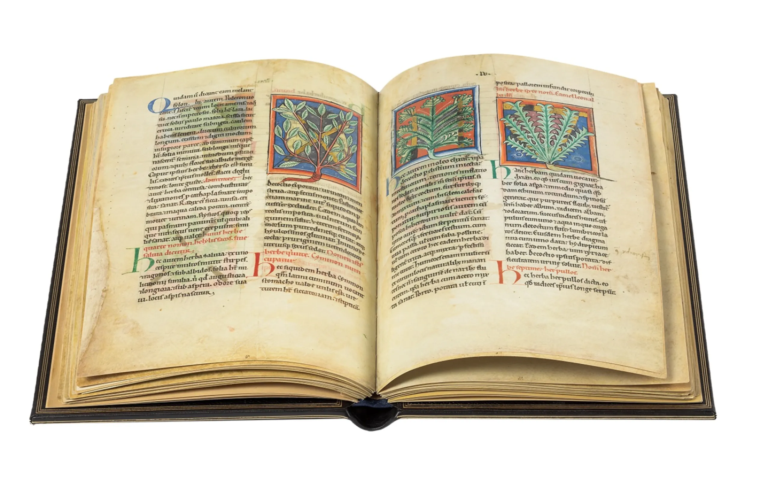 This compendium from the British Library includes the three most popular medical texts of the 12th century: the Herbarium of Pseudo-Apuleius, Pseudo-Dioscorides’ De herbis feminis and Sextus Placitus’ De medicina ex animalibus, along with other short medical texts. This compendium from the British Library includes the three most popular medical texts of the 12th century: the Herbarium of Pseudo-Apuleius, Pseudo-Dioscorides’ De herbis feminis and Sextus Placitus’ De medicina ex animalibus, along with other short medical texts.