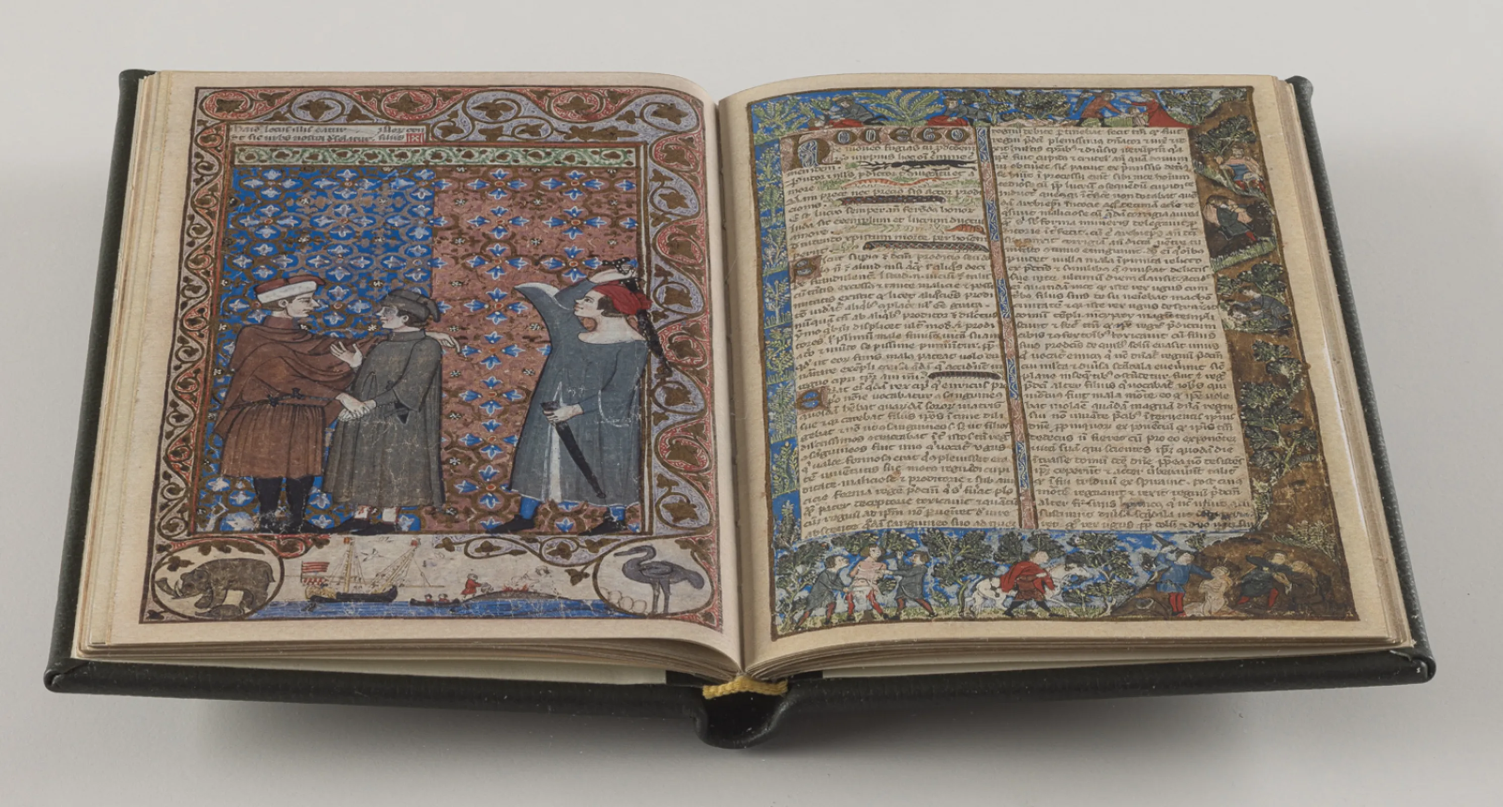 The Codex Cocharelli is characterised by incredibly detailed and fantastic border paintings, which open up a whole universe of plants, animals and scenic representations on practically every page. The Codex Cocharelli is characterised by incredibly detailed and fantastic border paintings, which open up a whole universe of plants, animals and scenic representations on practically every page.