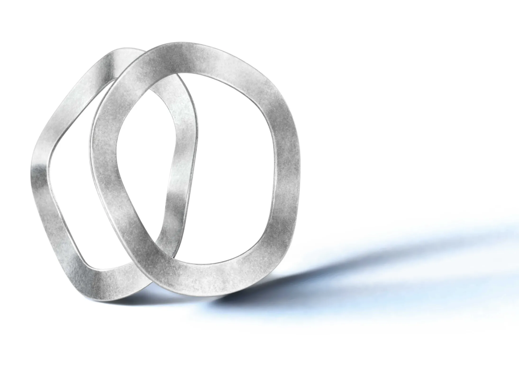 Original SCHNORR Wave Springs