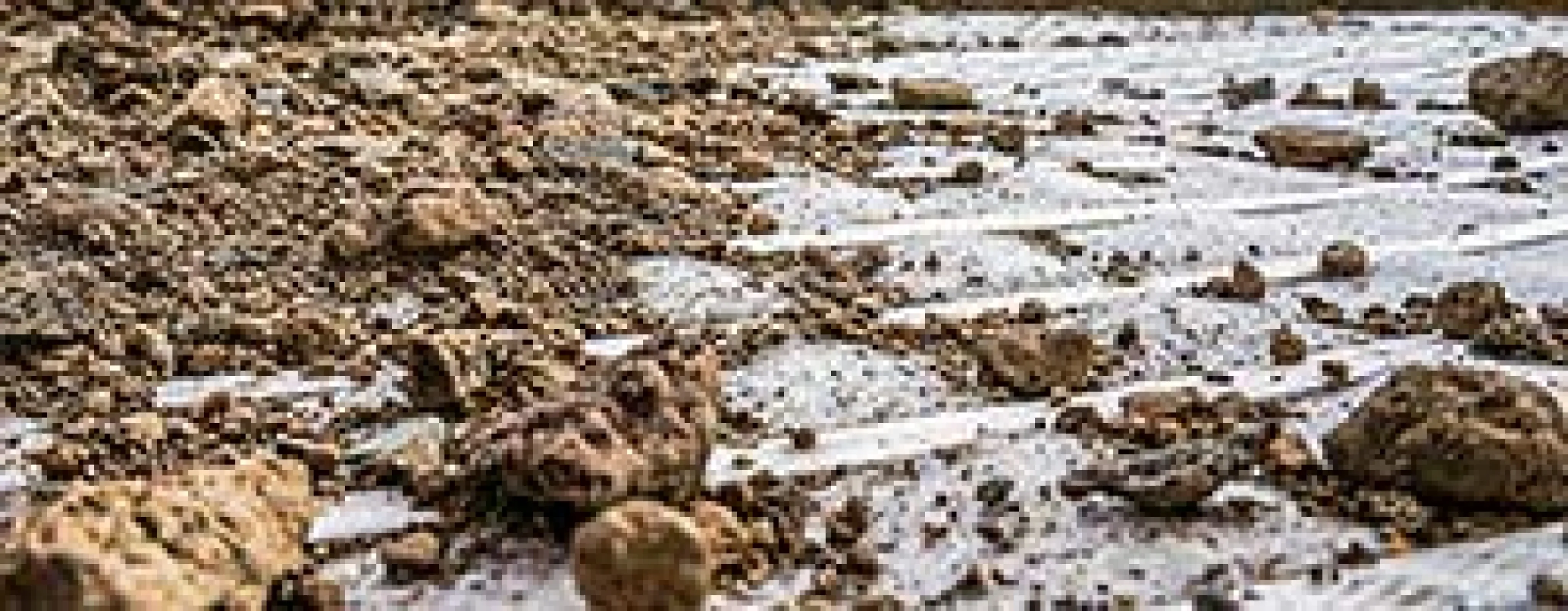 Combigrid® – Multicomponent Geogrid Soil stabilization and reinforcement for transport infrastructure using a geogrid–geotextile composite.