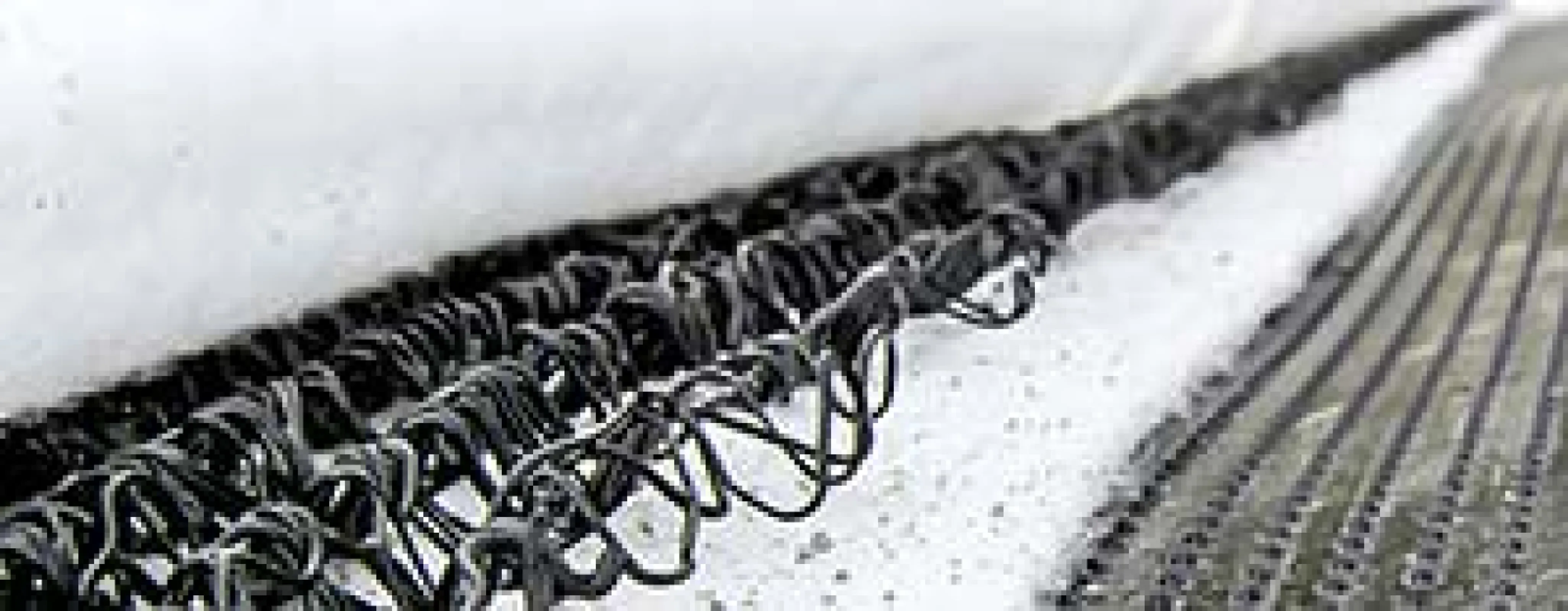 Secudrain® – Geocomposite Drainage System Efficient surface drainage and structural protection for civil engineering and landfill applications.