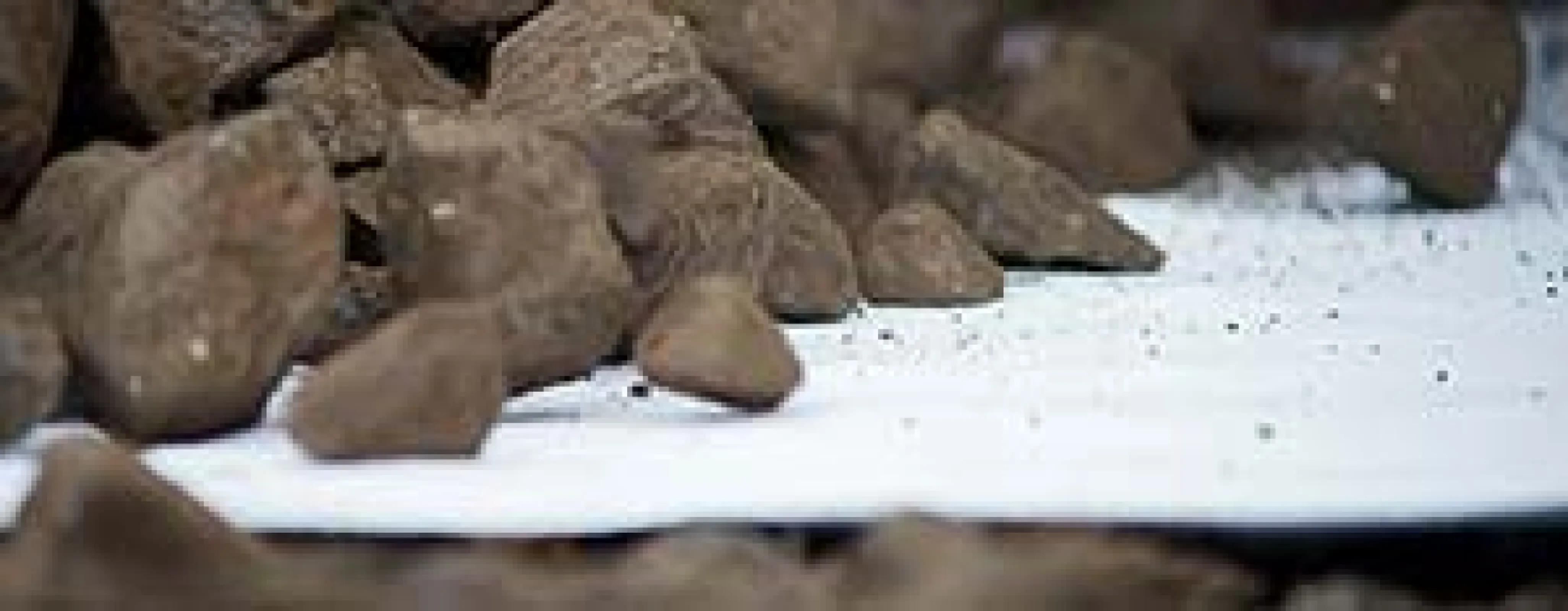 Secutex® – Protection and Filtration Geotextile Heavy-duty geotextiles for protecting geomembranes and ensuring reliable filtration.