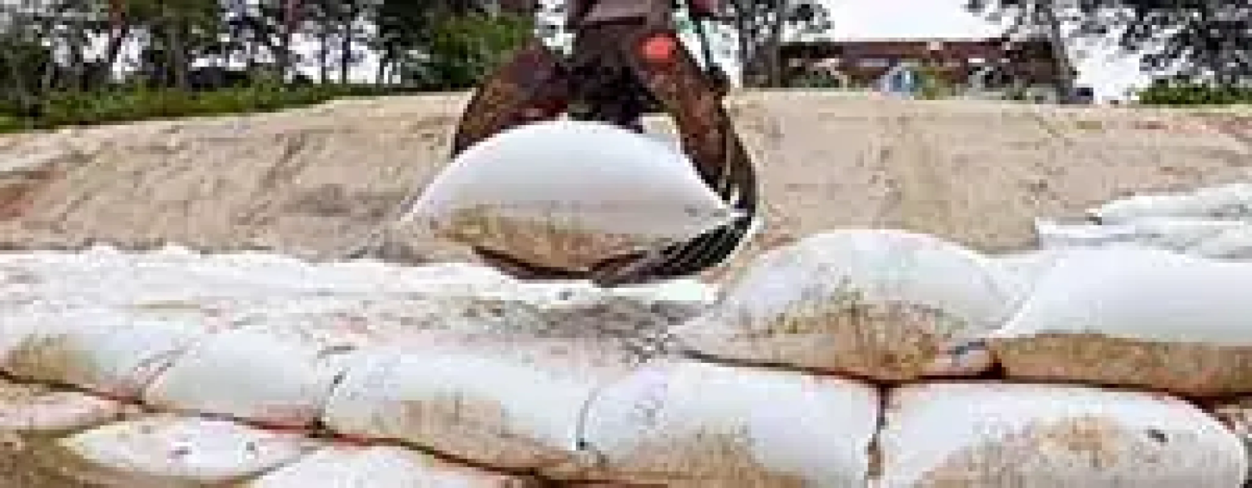 Secutex® Soft Rock – Geotextile Sand Containers Flexible coastal and hydraulic engineering solutions for shoreline protection and erosion control.