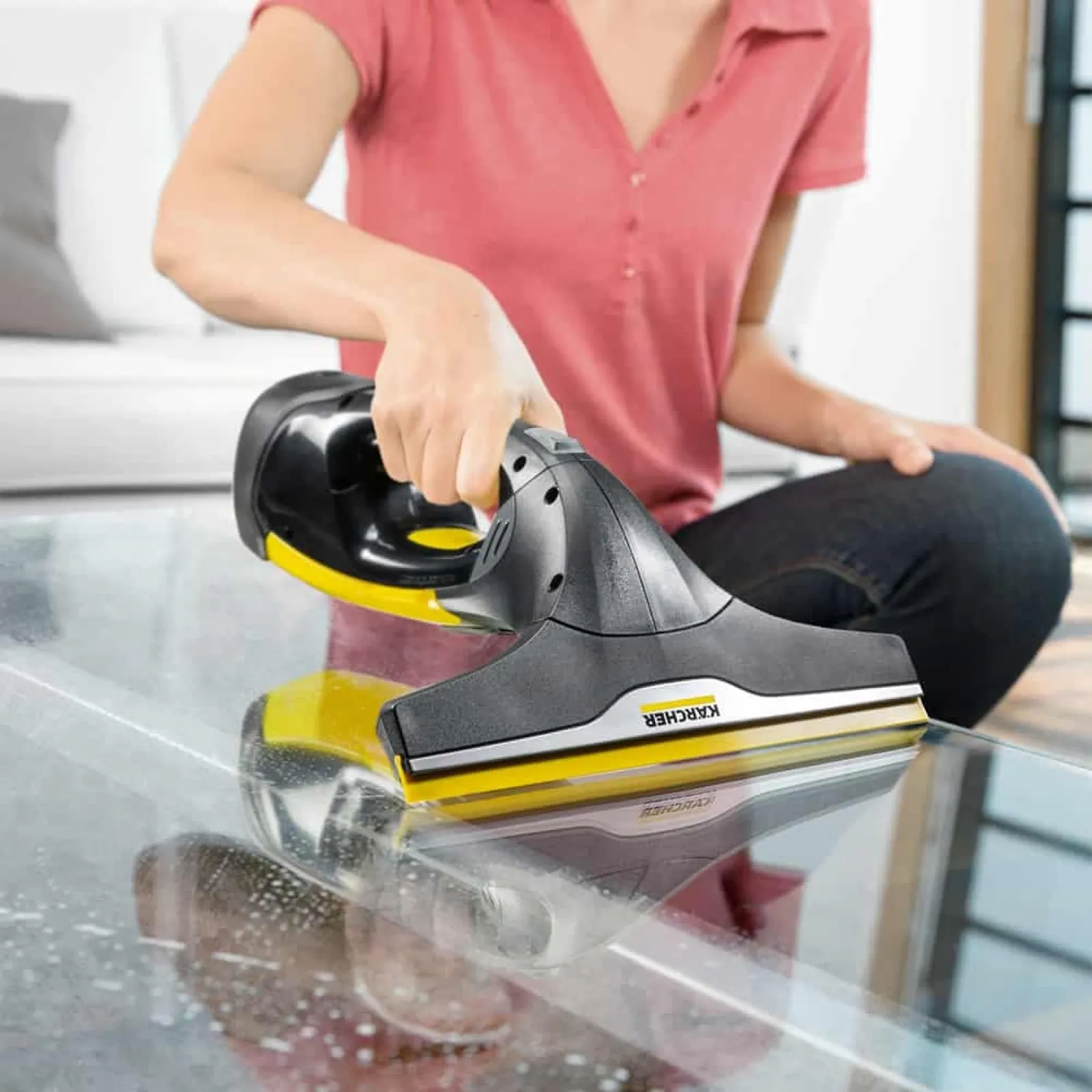 Window Vacuum Cleaner WV 2 Black Edition