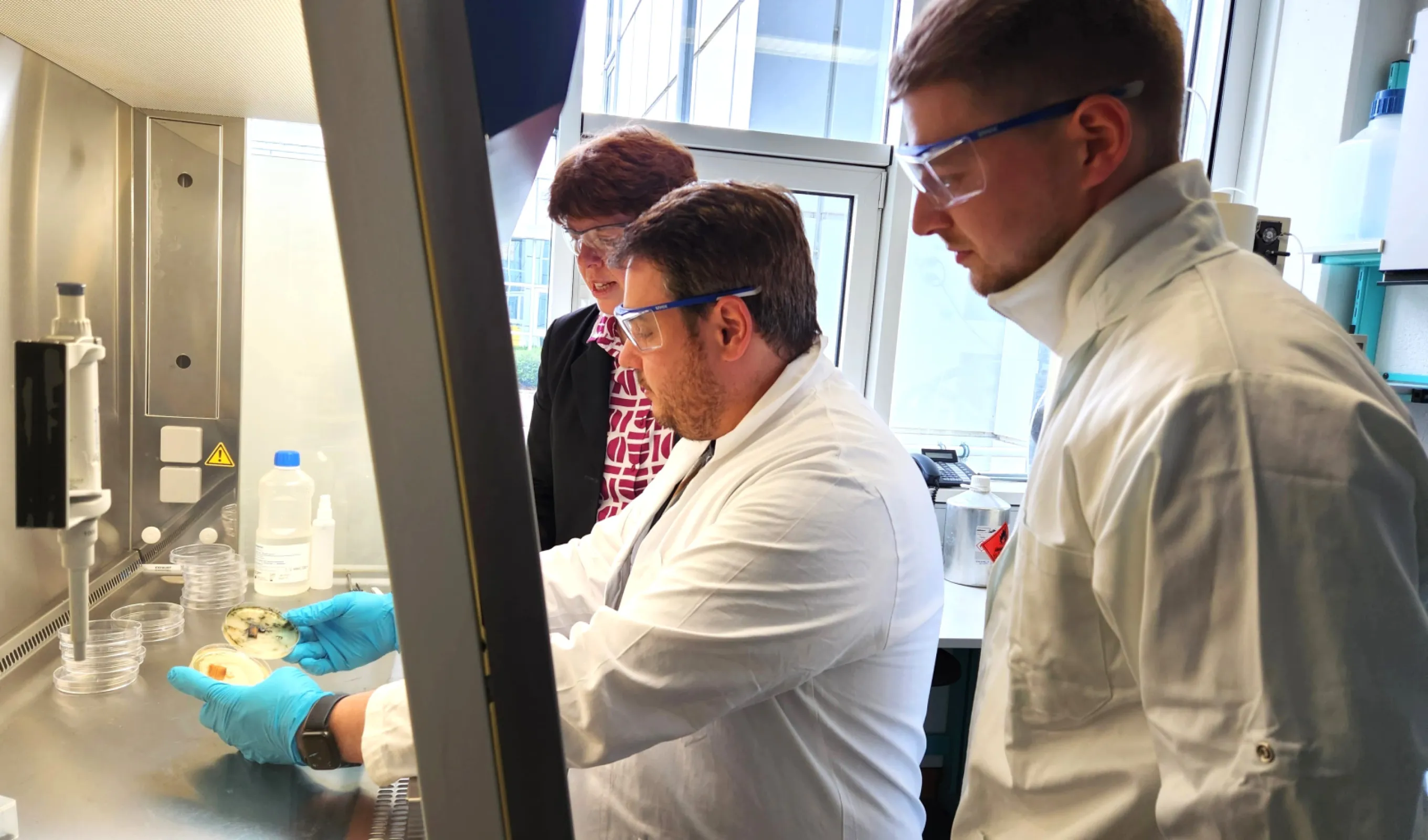 Research & Development