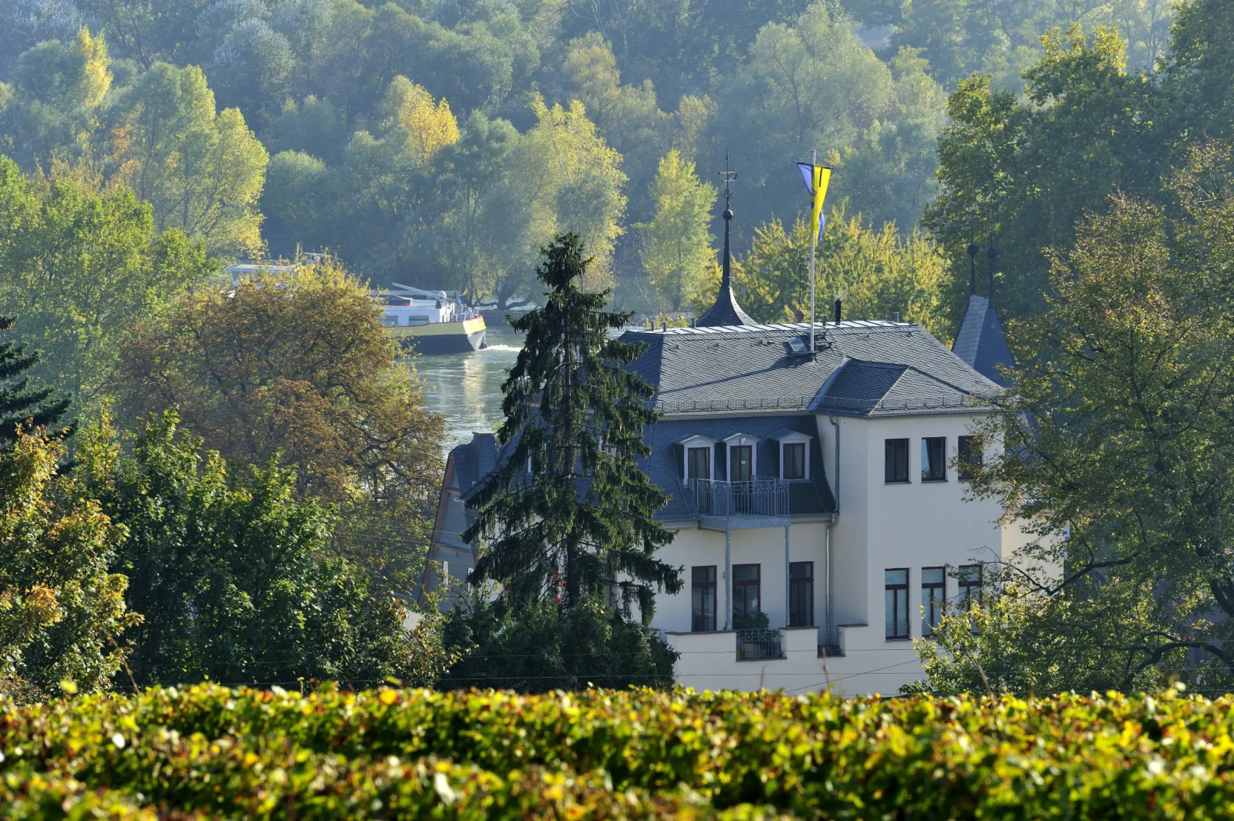 The winery in Hattenheim in the Rheingau region