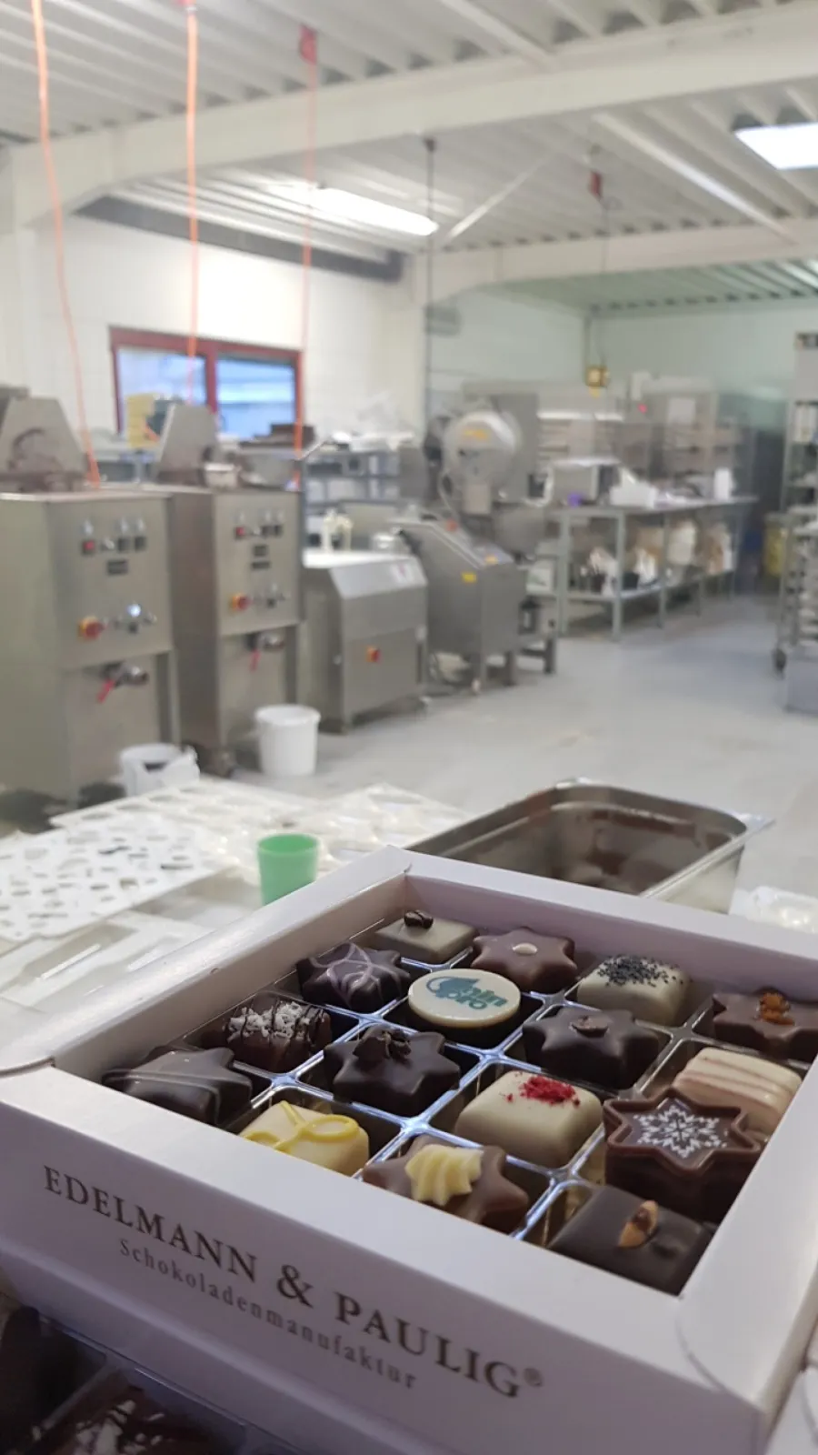 The chocolate plant inside impression
