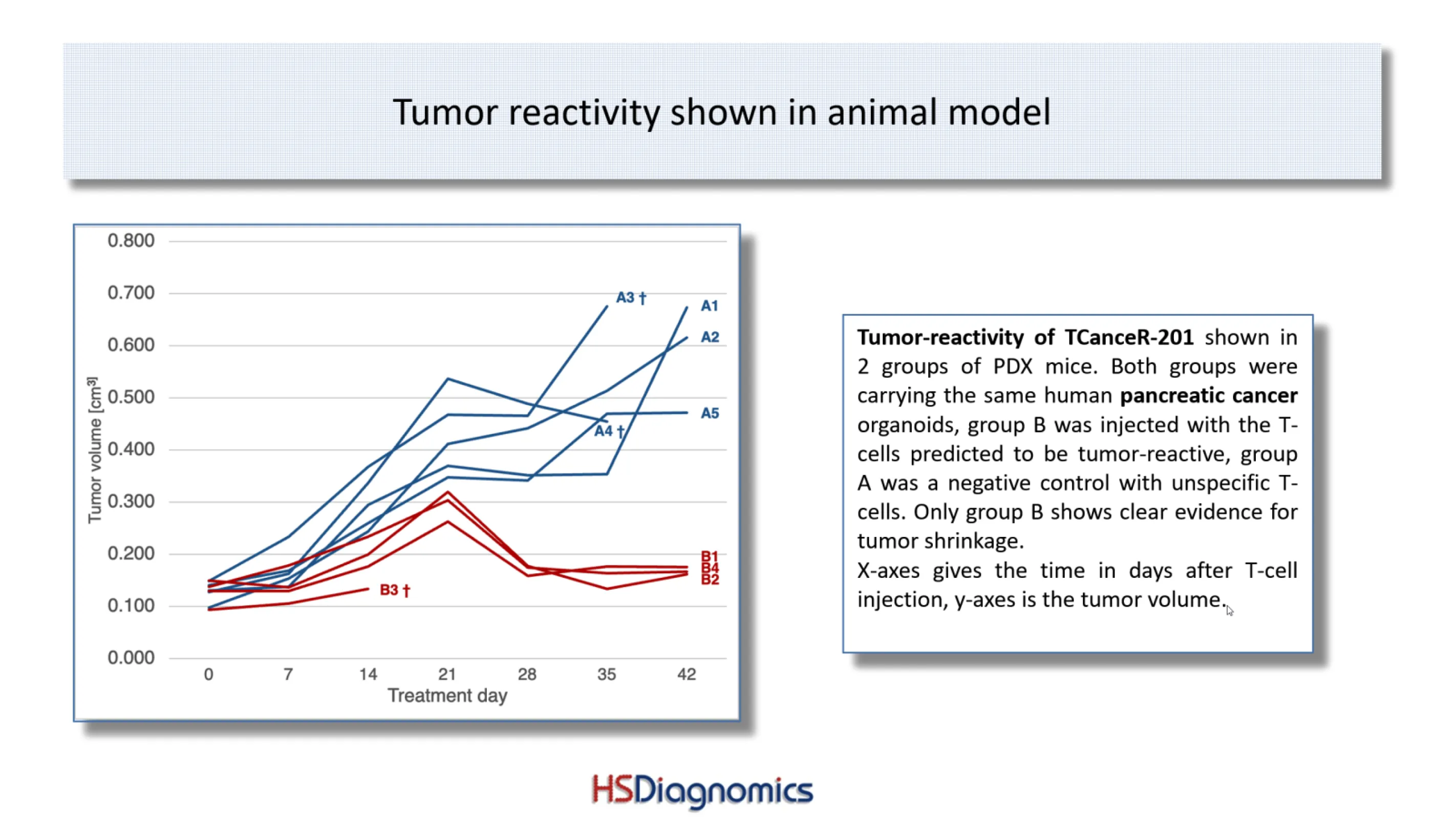 Our TCRs are tested successfully in PDX-mice.
