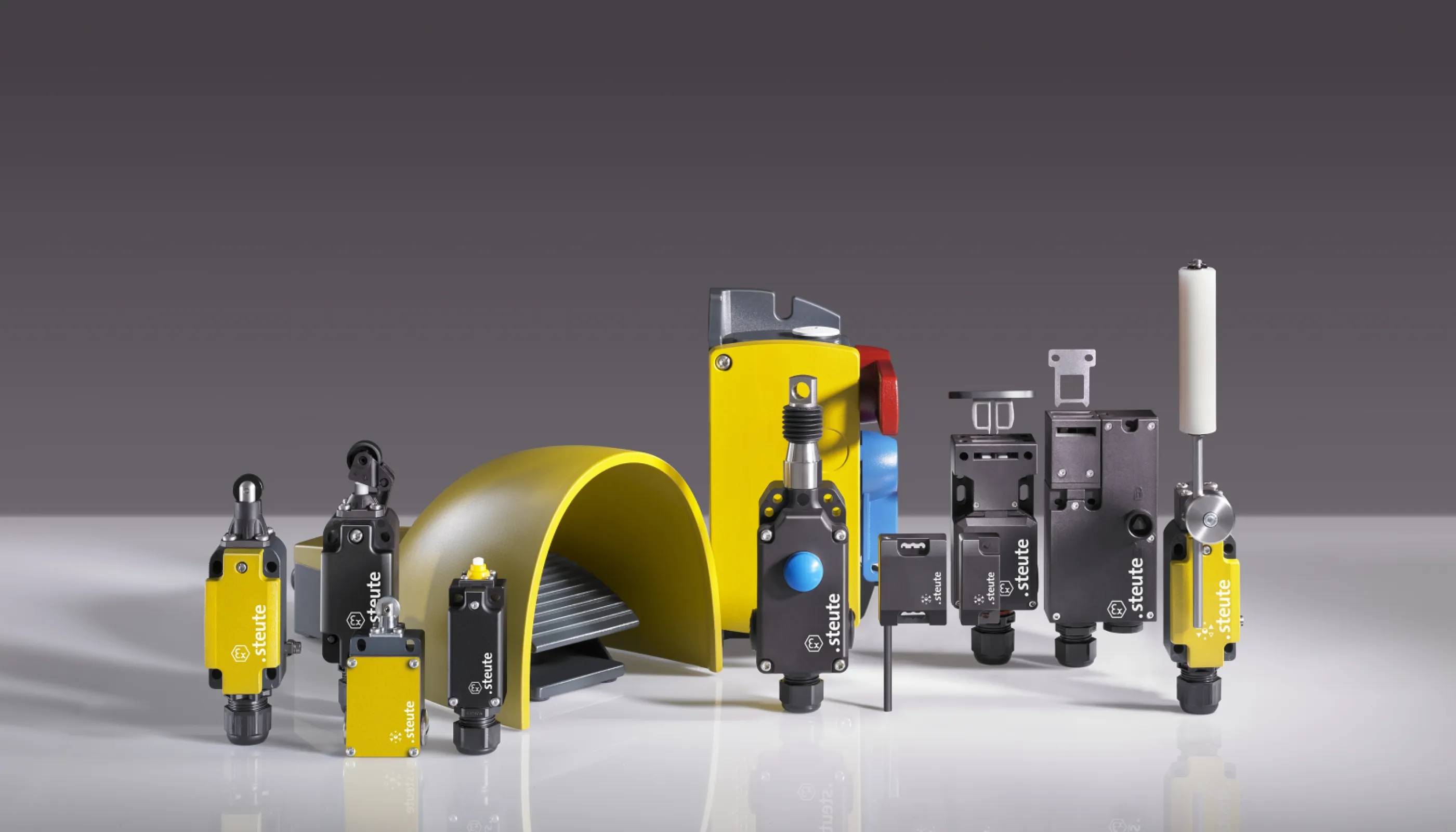 steute Controltec products