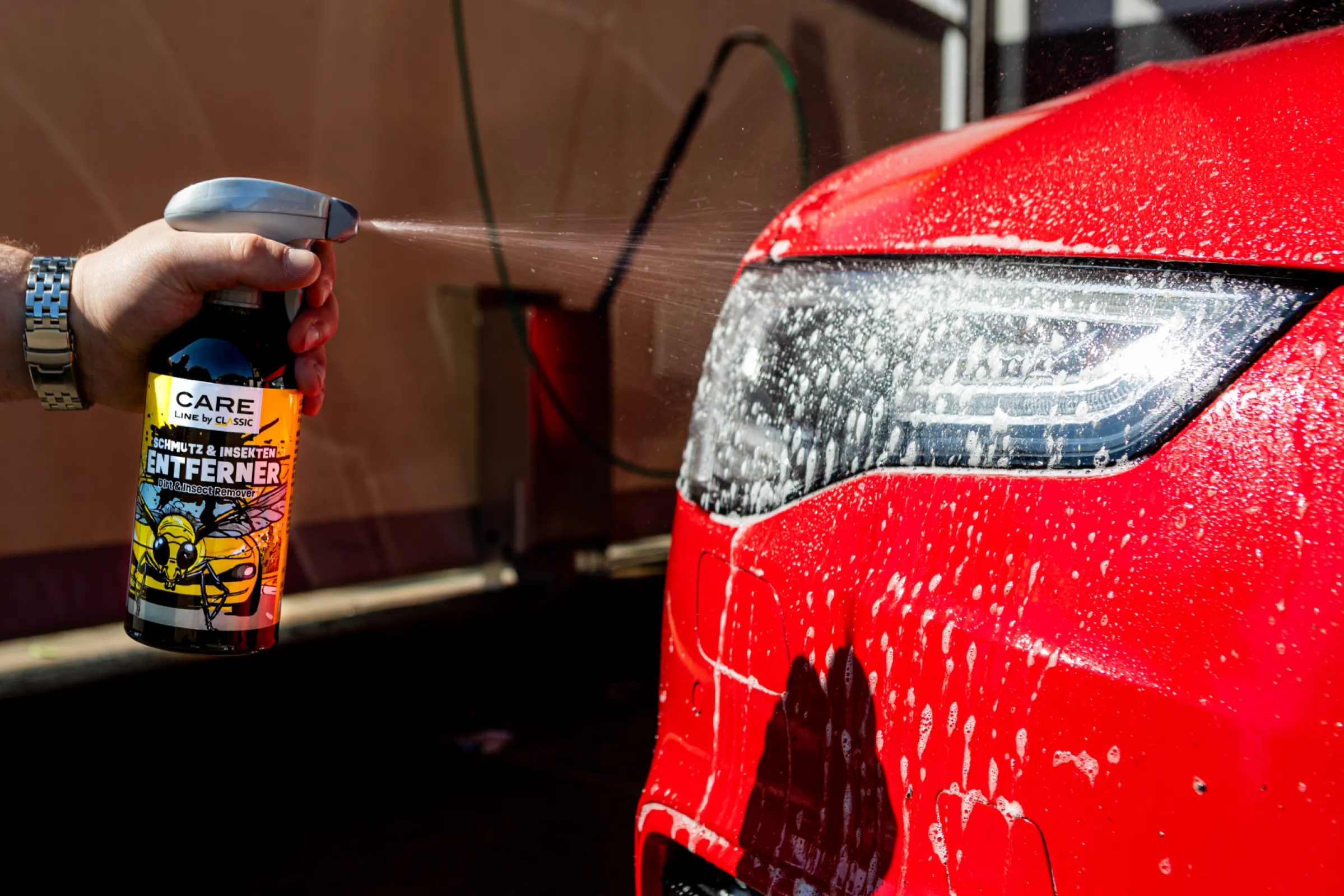 Paint-friendly insect and dirt remover