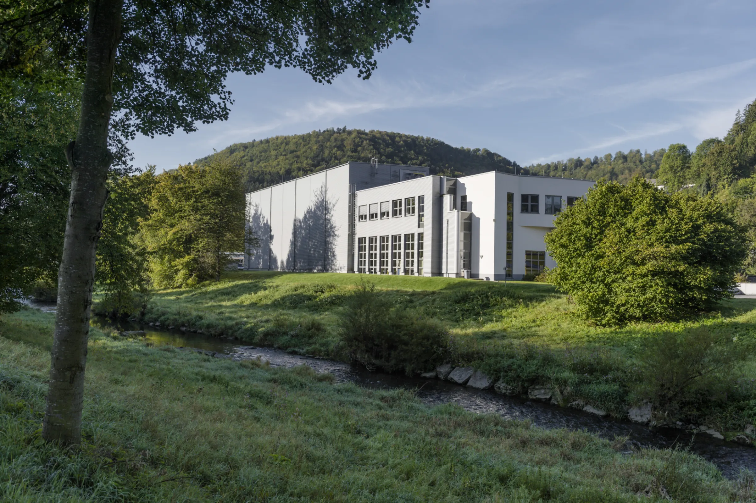 Company building